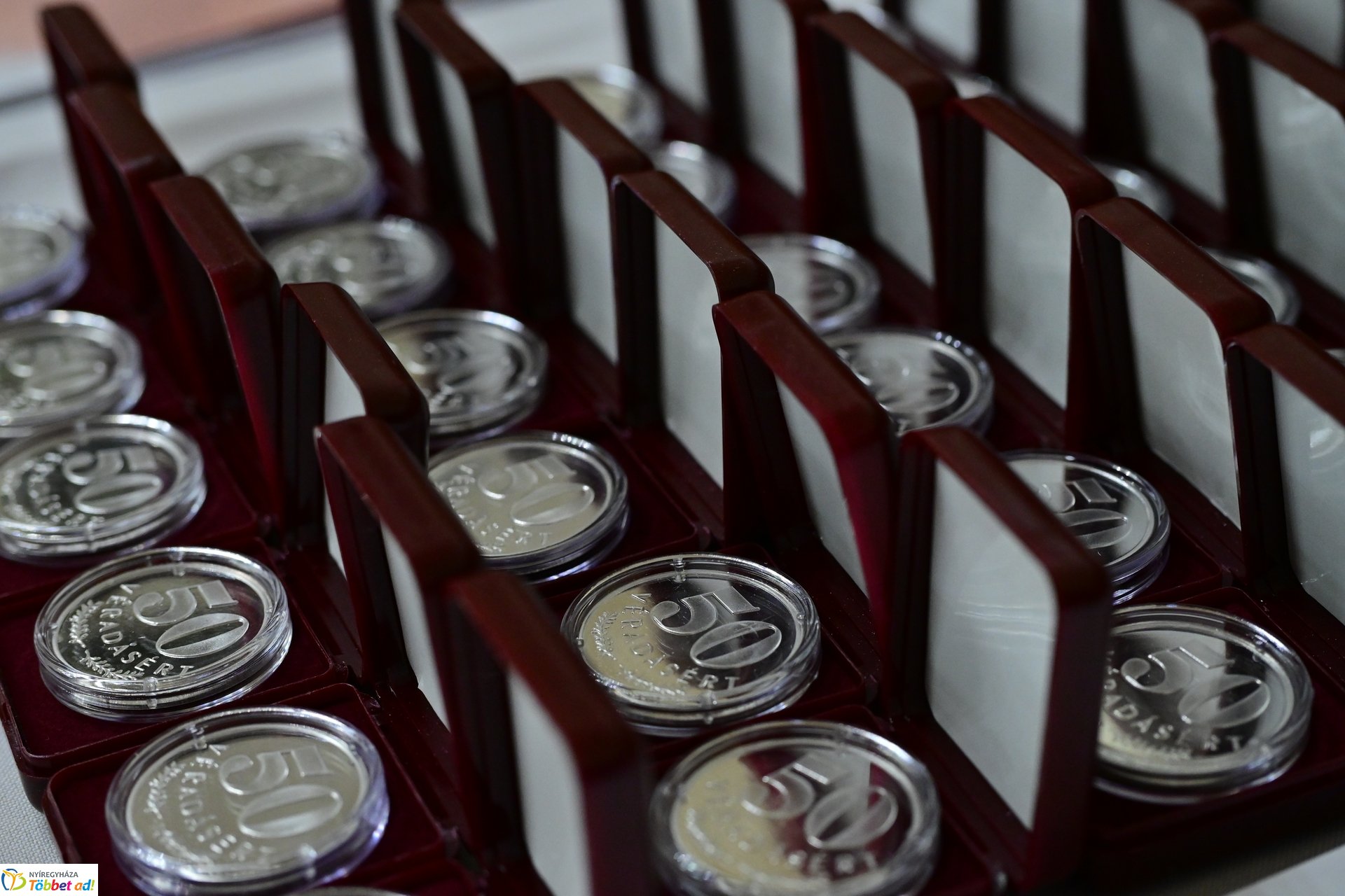 Véradók Napja 2024