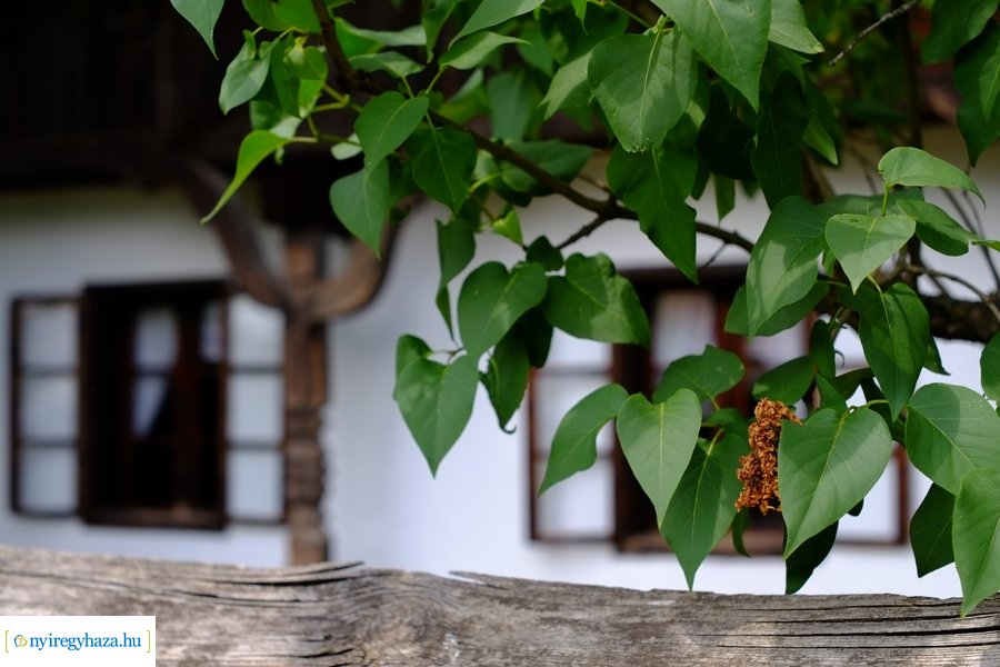 Verbunk tánc beharangozó