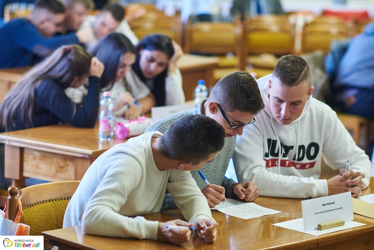 Vetélkedő a parlagfűről