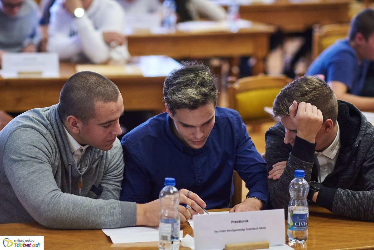 Vetélkedő a parlagfűről