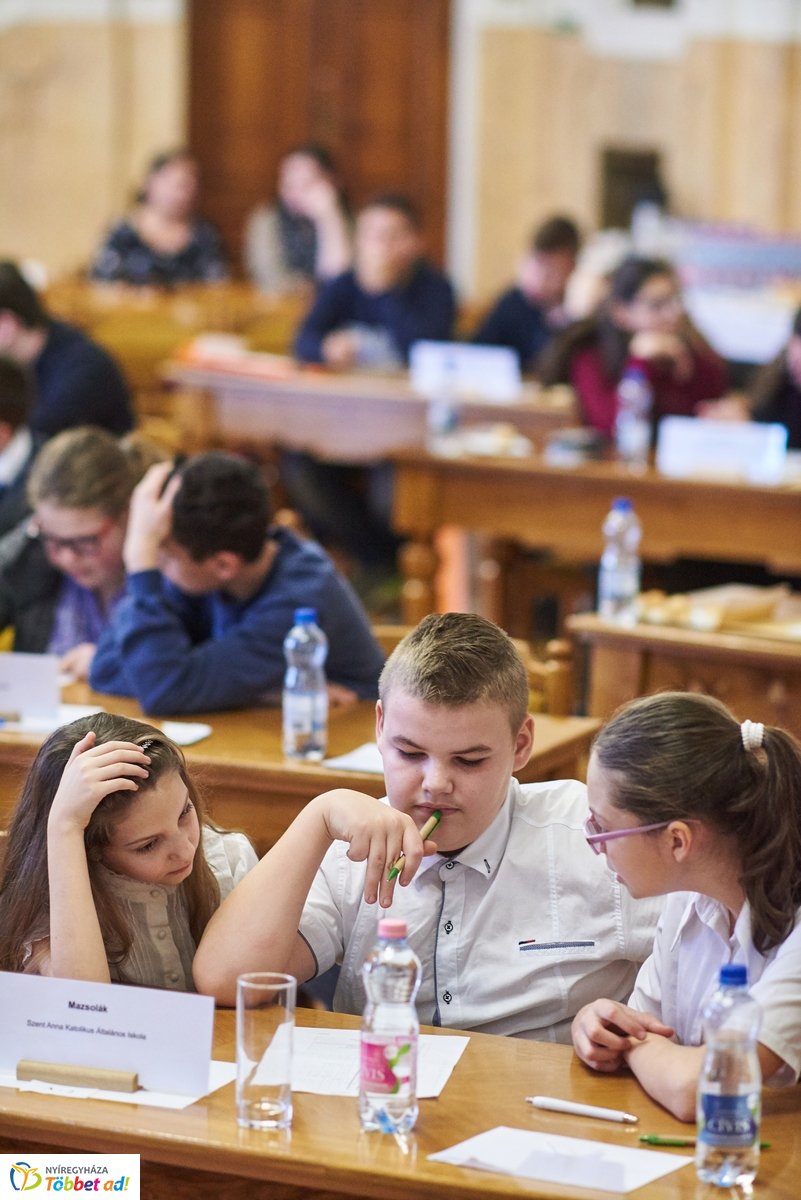 Vetélkedő a parlagfűről