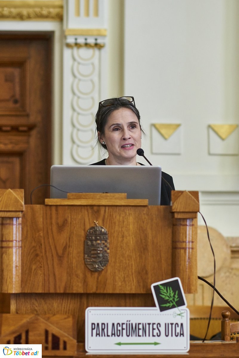 Vetélkedő a parlagfűről