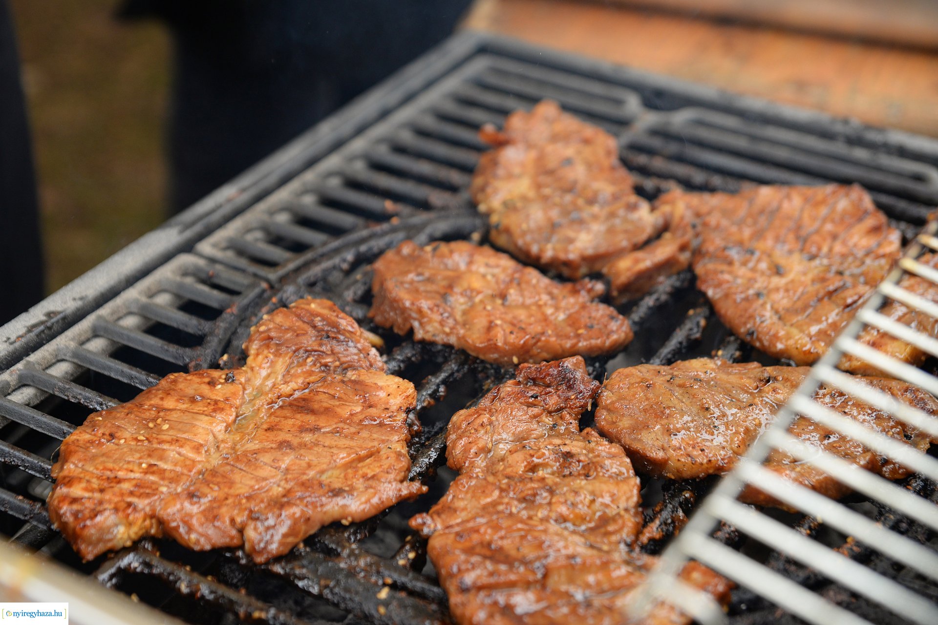 VI. Nyírségi Disznótoros Fesztivál és XXII. Nemzetközi Böllérverseny #2