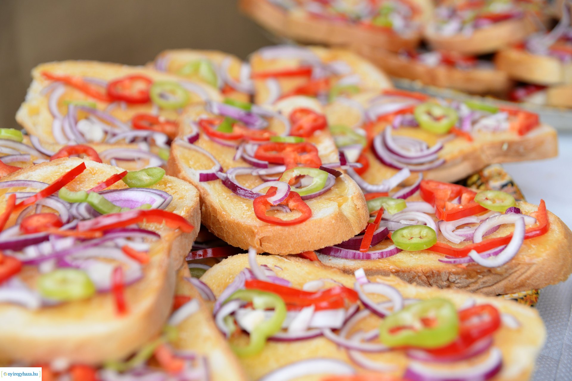 VI. Nyírségi Disznótoros Fesztivál és XXII. Nemzetközi Böllérverseny #2