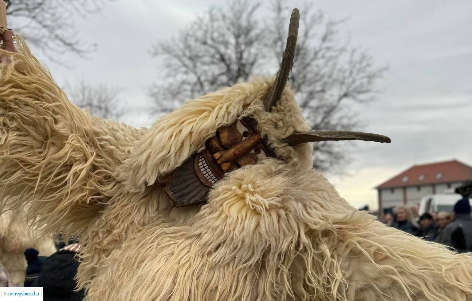 VI. Nyírségi Disznótoros Fesztivál és XXII. Nemzetközi Böllérverseny