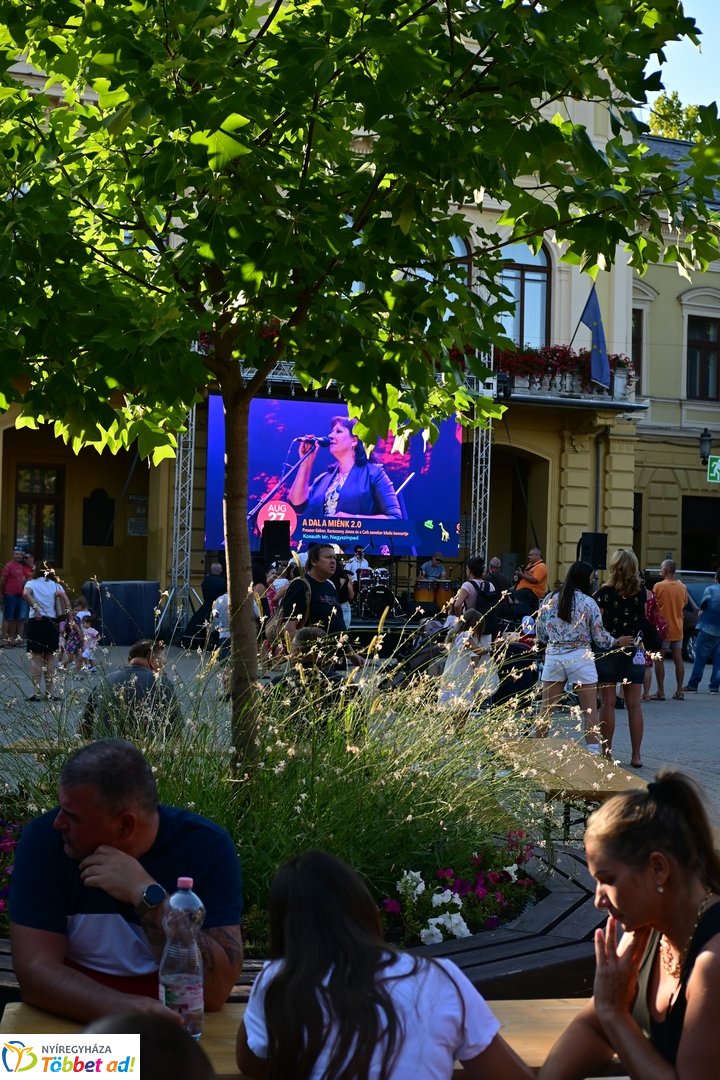 VIDOR 2026 - szösszenetek