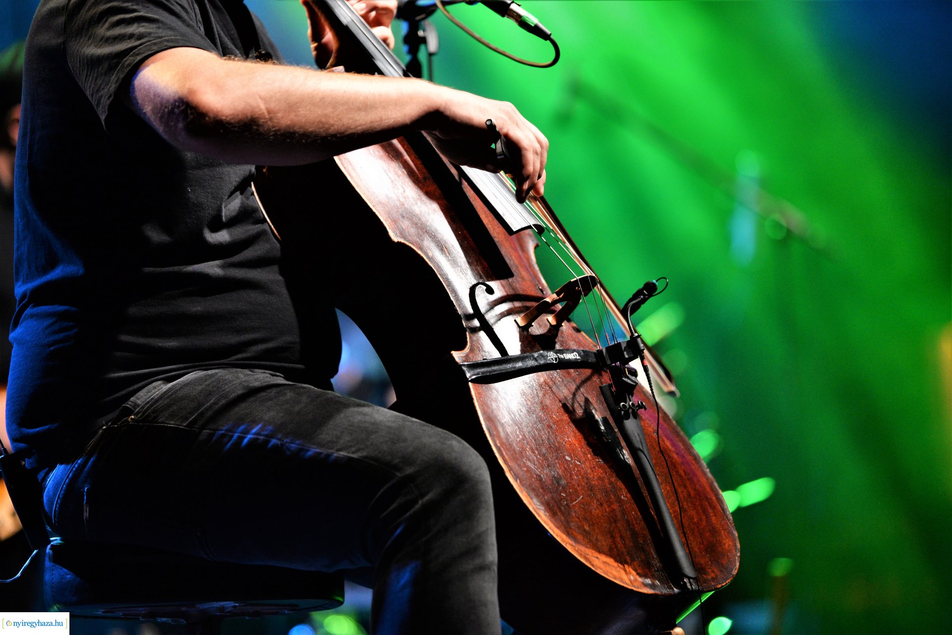 VIDOR FESZTIVÁL 2023 - 2. nap