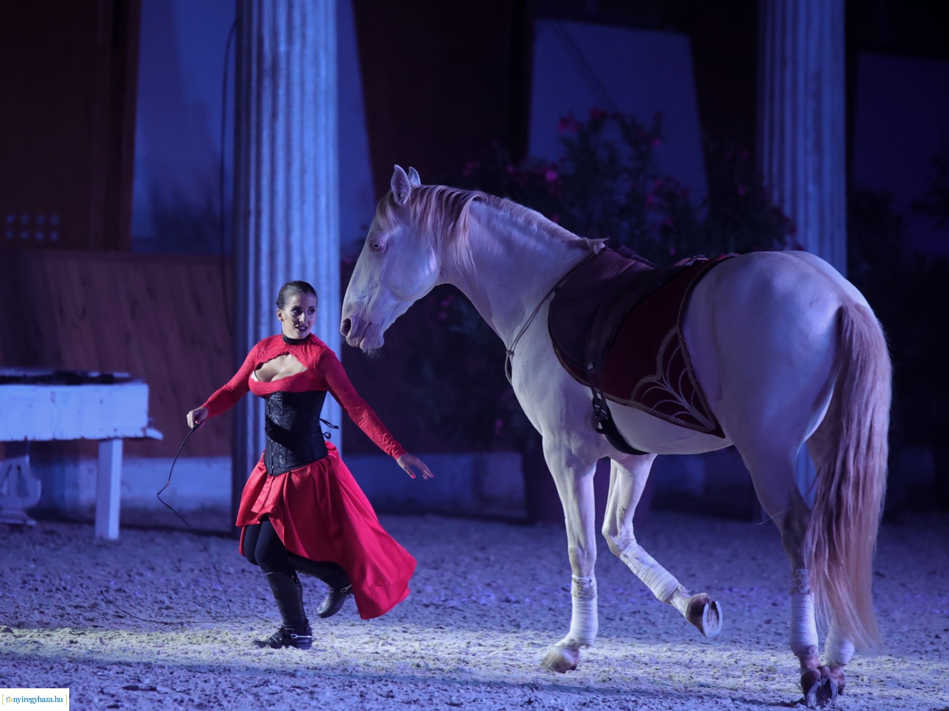 VIDOR FESZTIVÁL 2023 - 8. nap