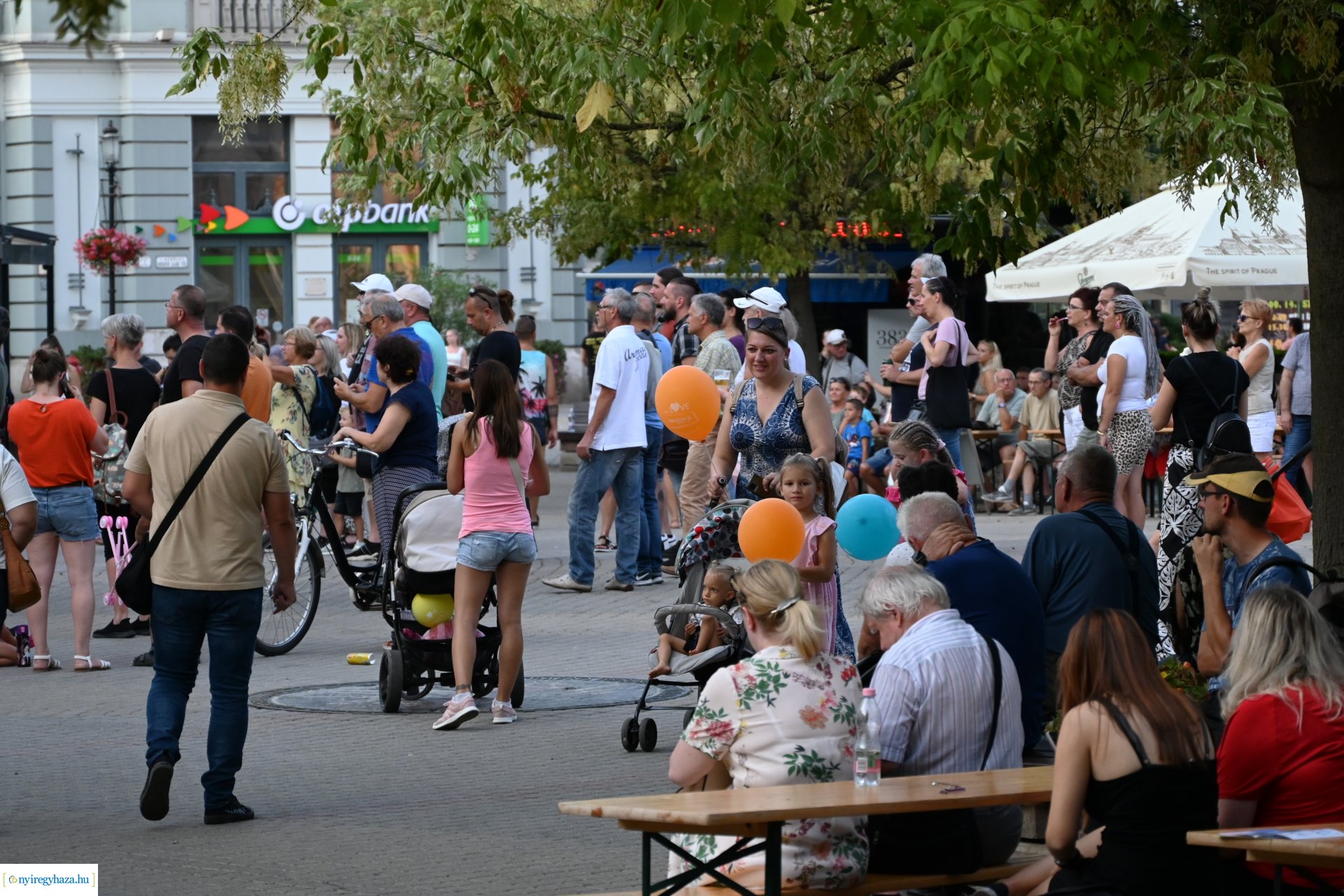 VIDOR Fesztivál 2024 - 6. nap