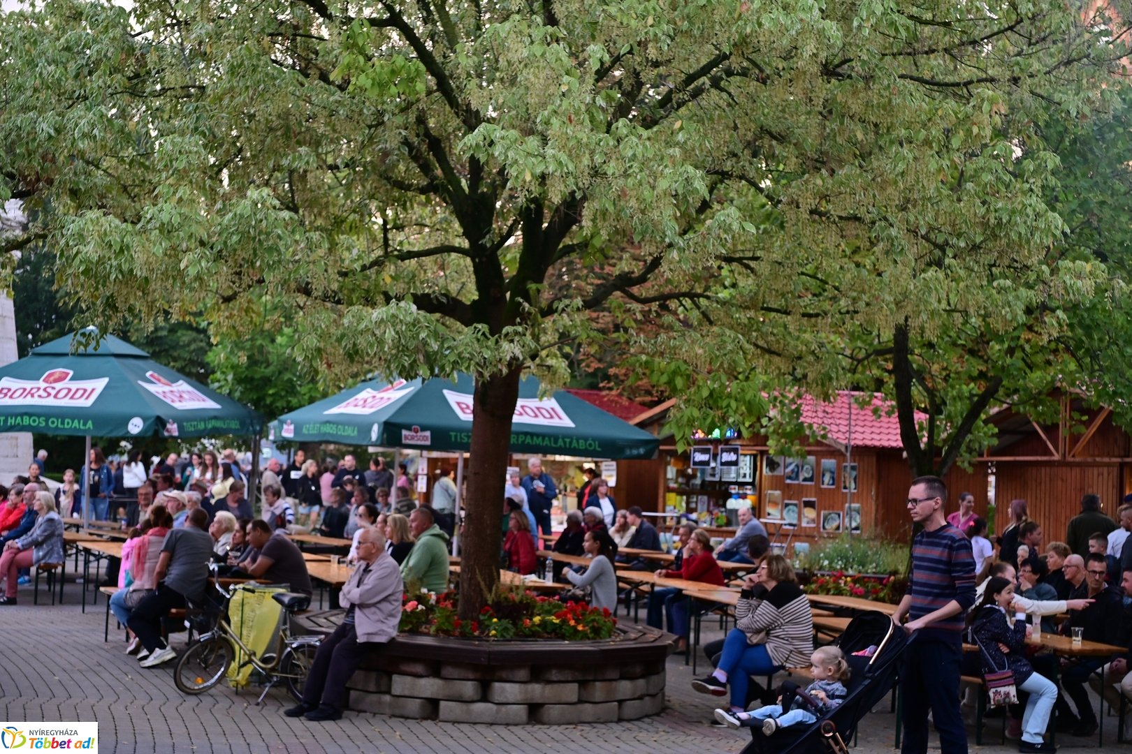 VIDOR Fesztivál 2025 megnyitó