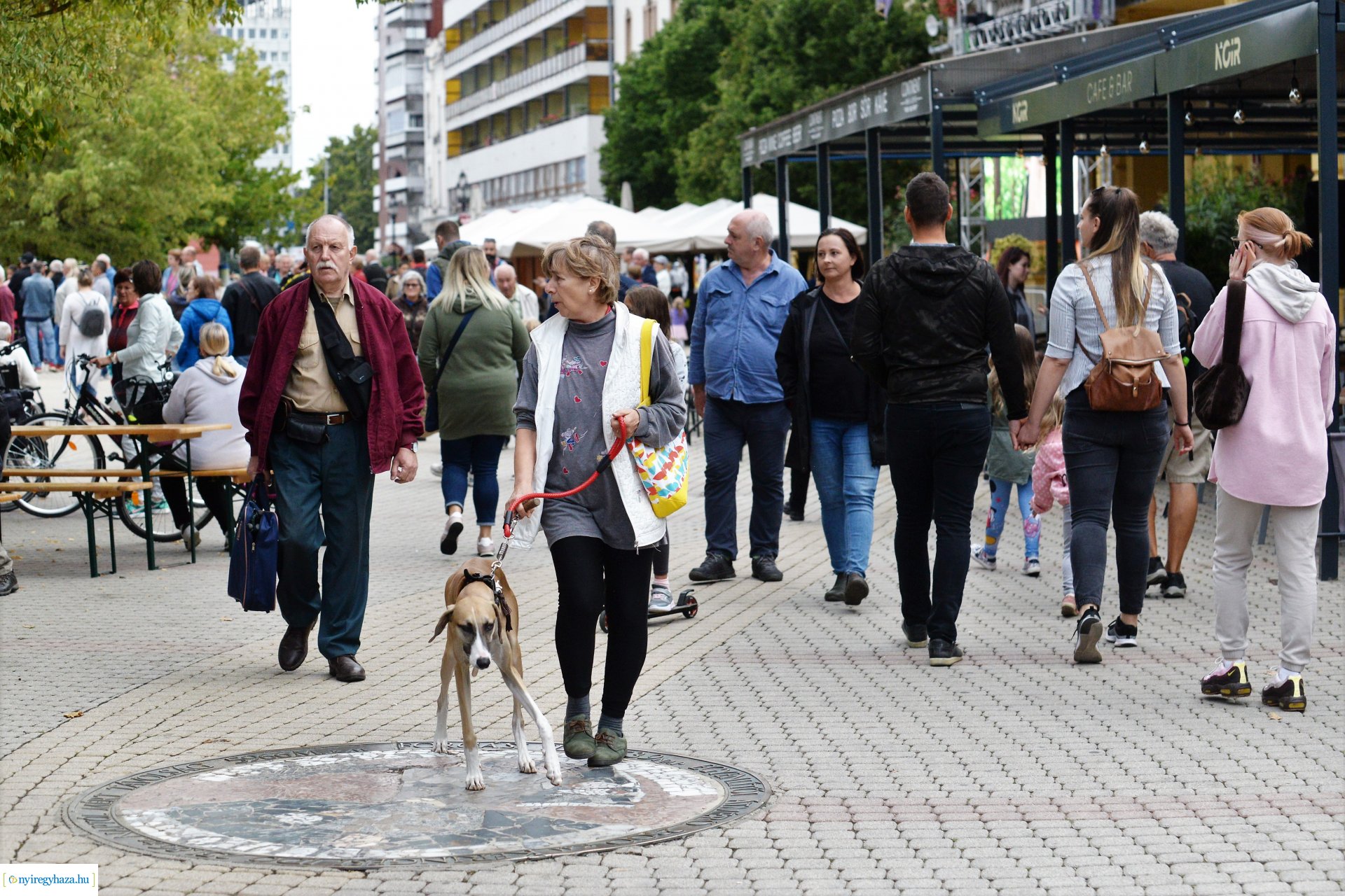 Vidor Fesztivál szombaton