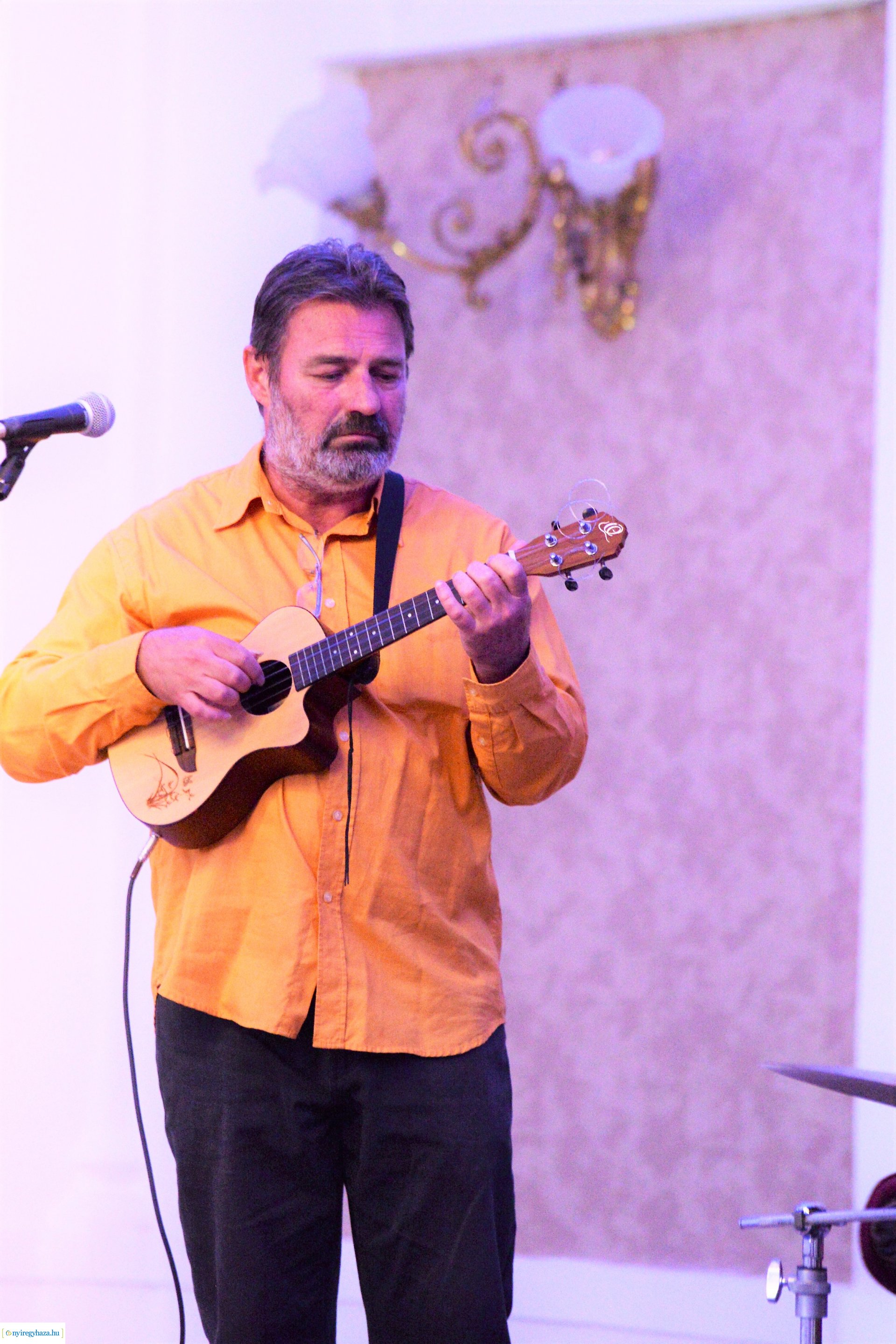 Vidor Fesztivál szombaton