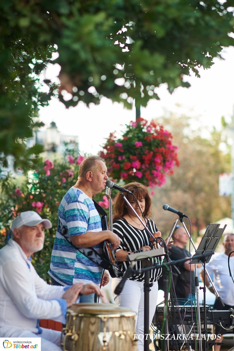 VIDOR pillanatok 20190827