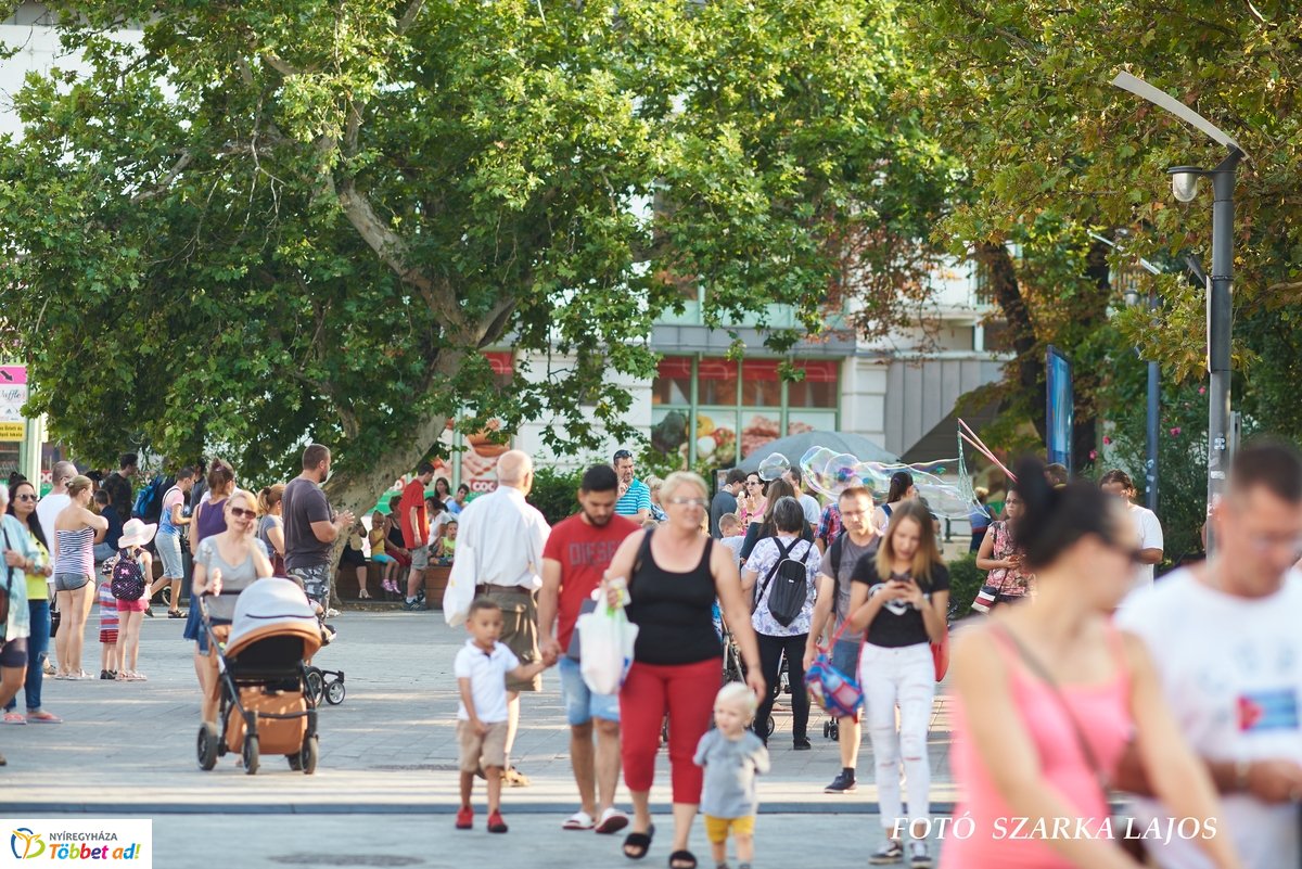 VIDOR pillanatok 20190827