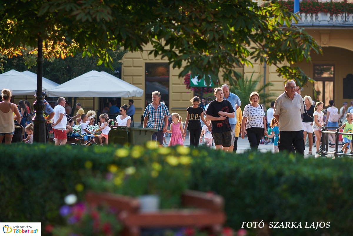 VIDOR pillanatok 20190827