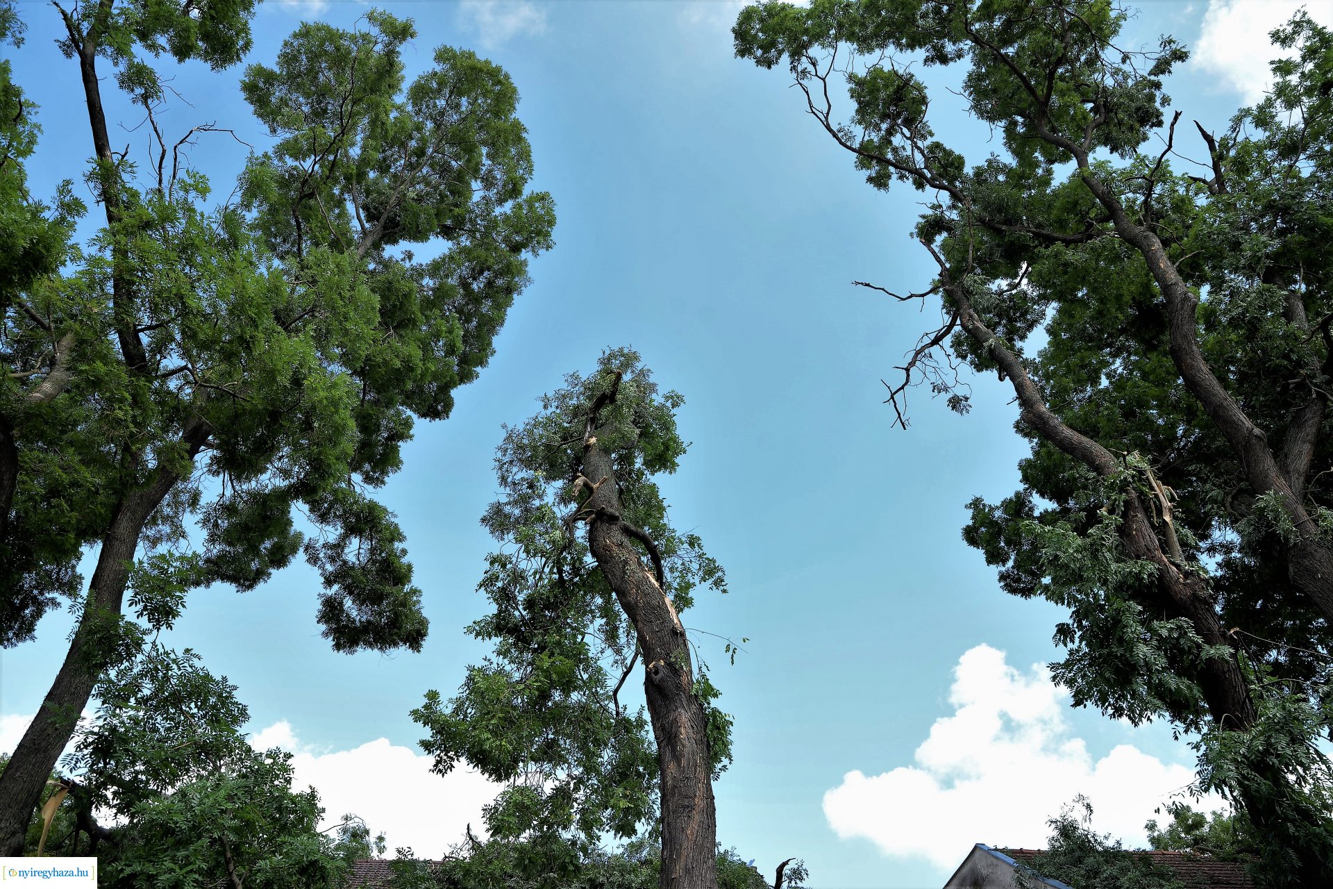   Viharkár eltakarítás a  Szent István utcán