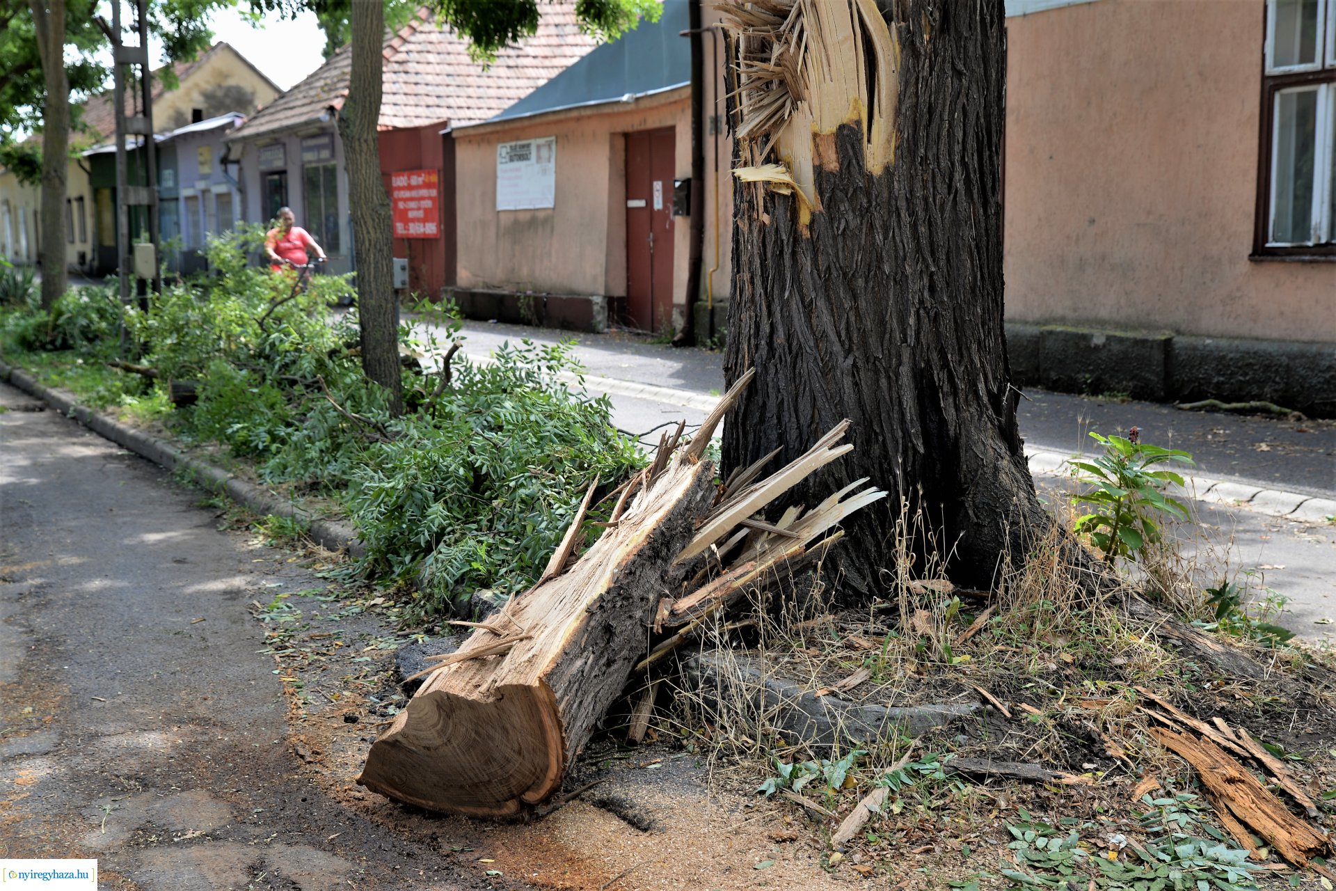   Viharkár eltakarítás a  Szent István utcán