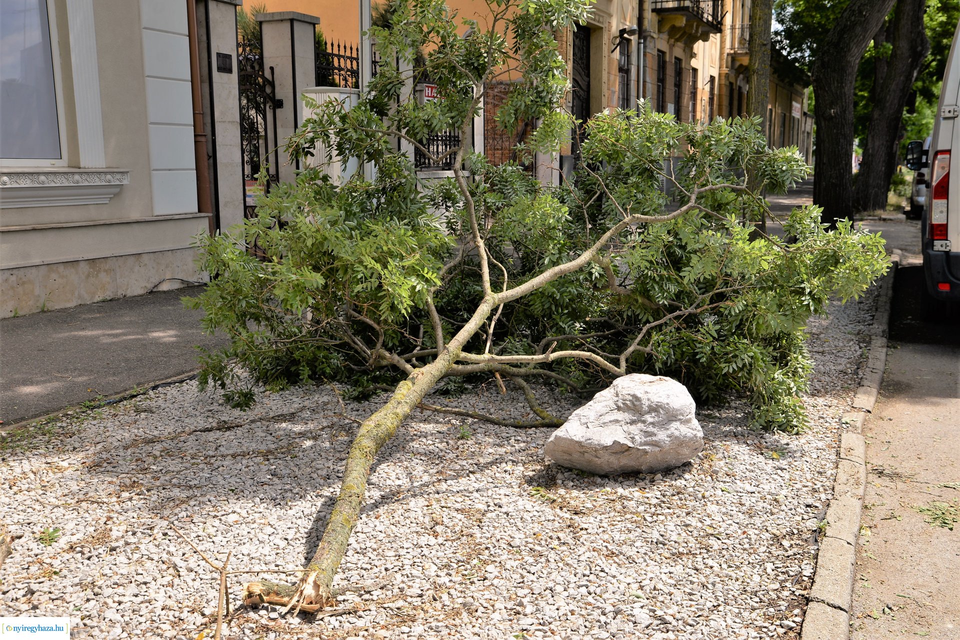  Viharkár eltakarítás a  Szent István utcán