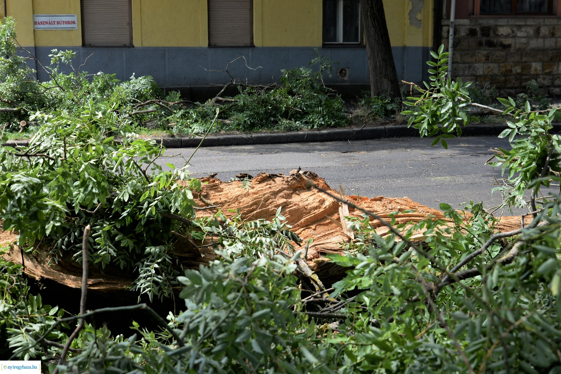   Viharkár eltakarítás a  Szent István utcán