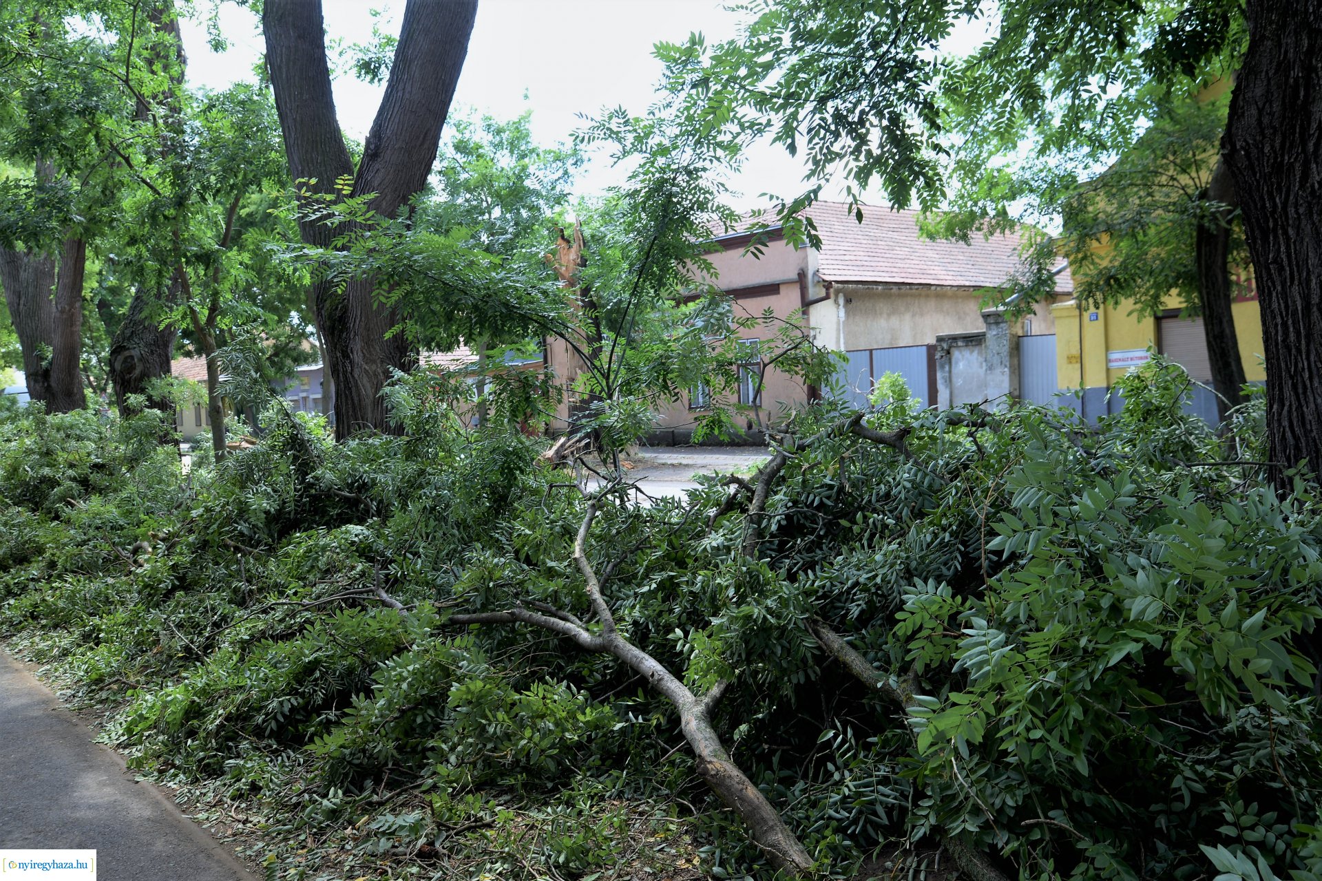  Viharkár eltakarítás a  Szent István utcán