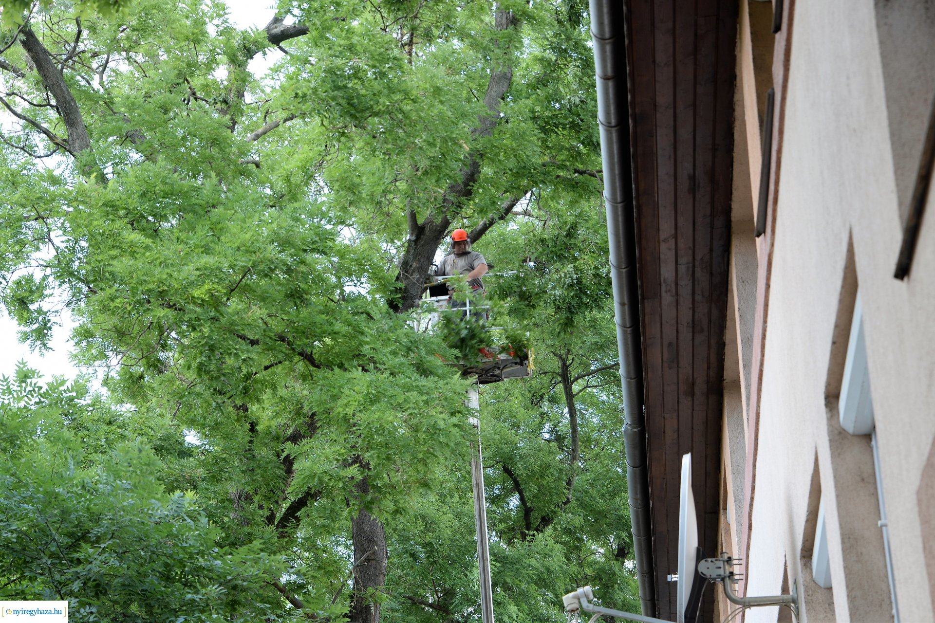   Viharkár eltakarítás a  Szent István utcán