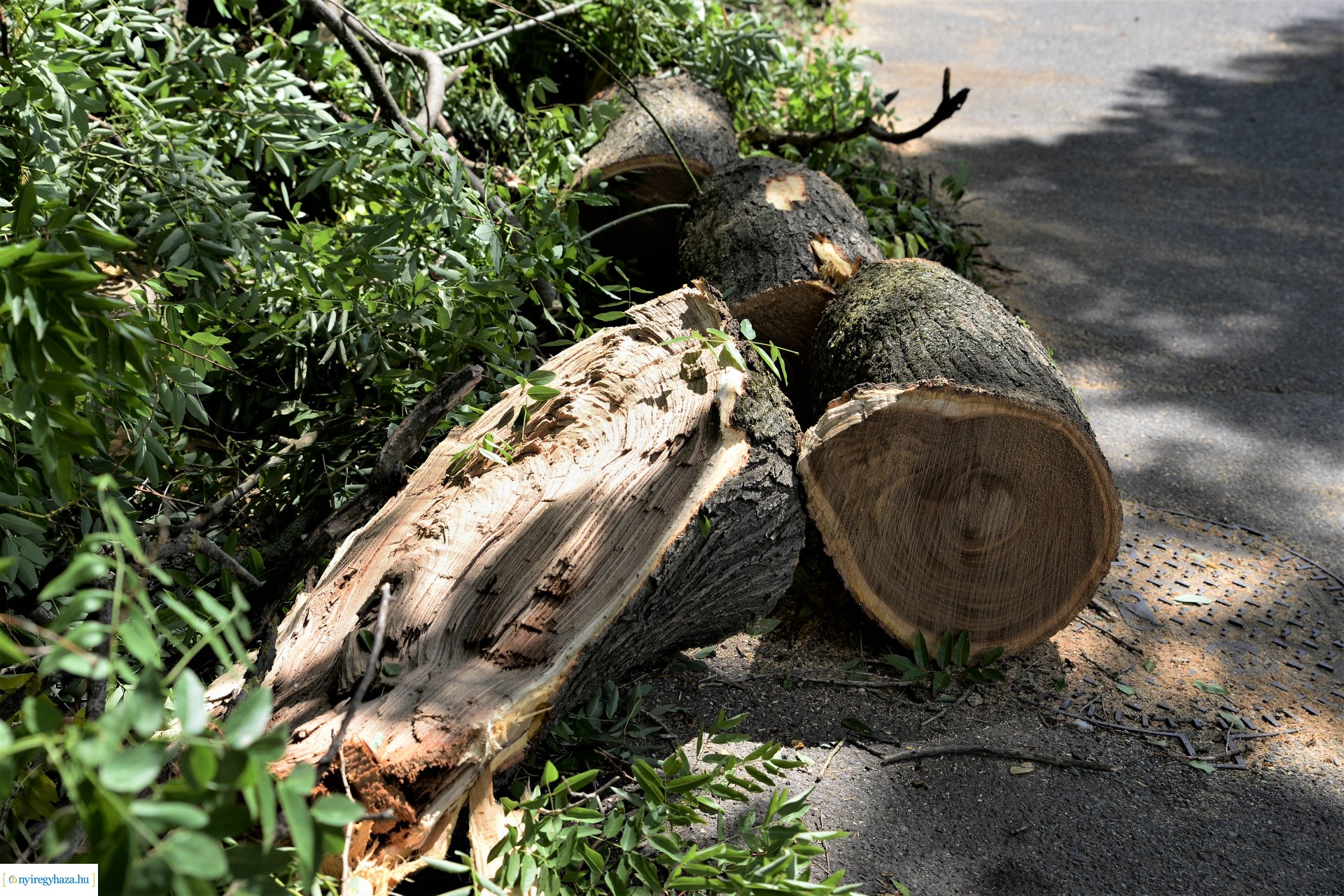   Viharkár eltakarítás a  Szent István utcán