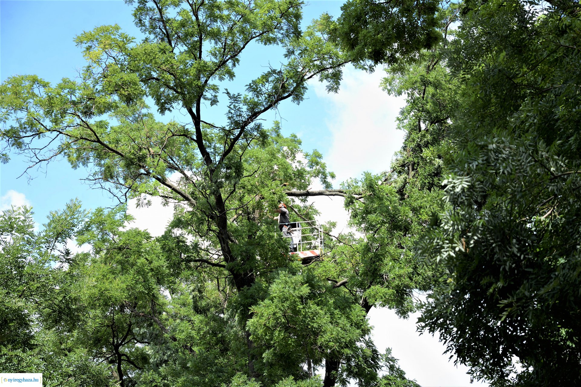   Viharkár eltakarítás a  Szent István utcán