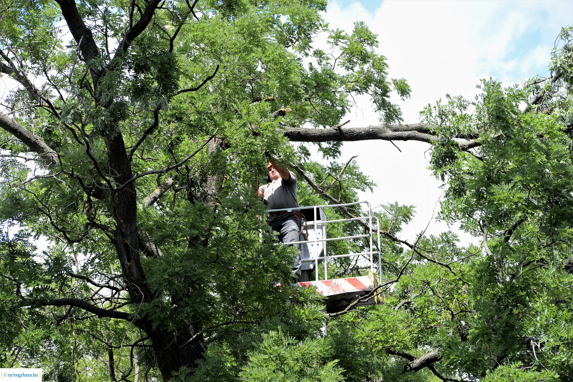   Viharkár eltakarítás a  Szent István utcán
