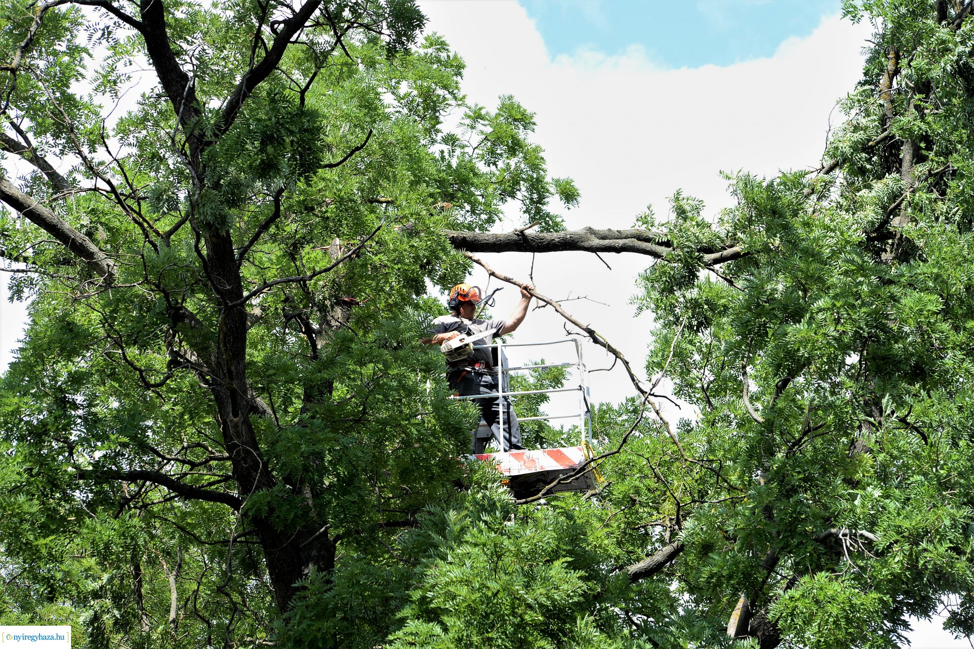   Viharkár eltakarítás a  Szent István utcán