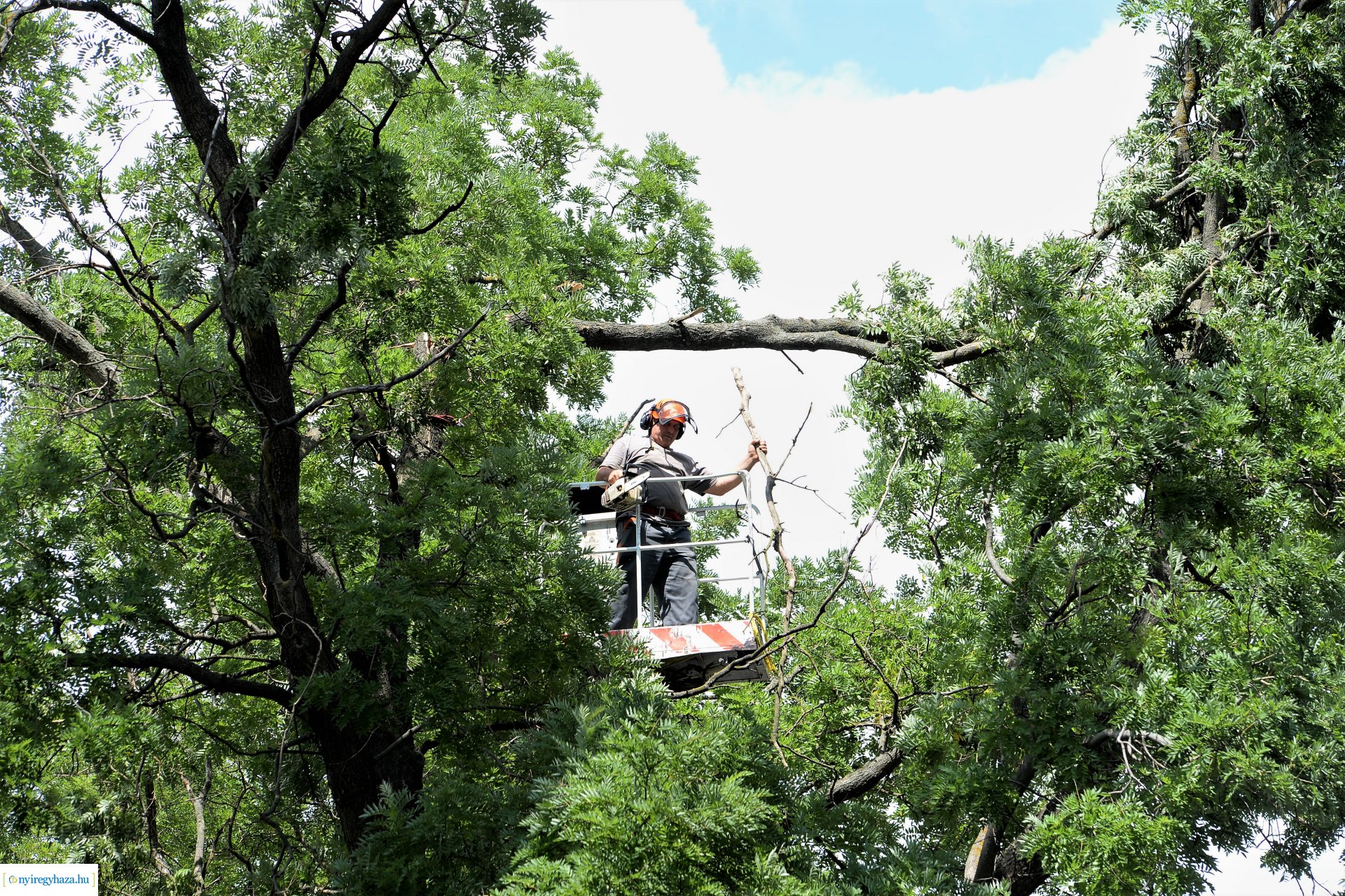   Viharkár eltakarítás a  Szent István utcán