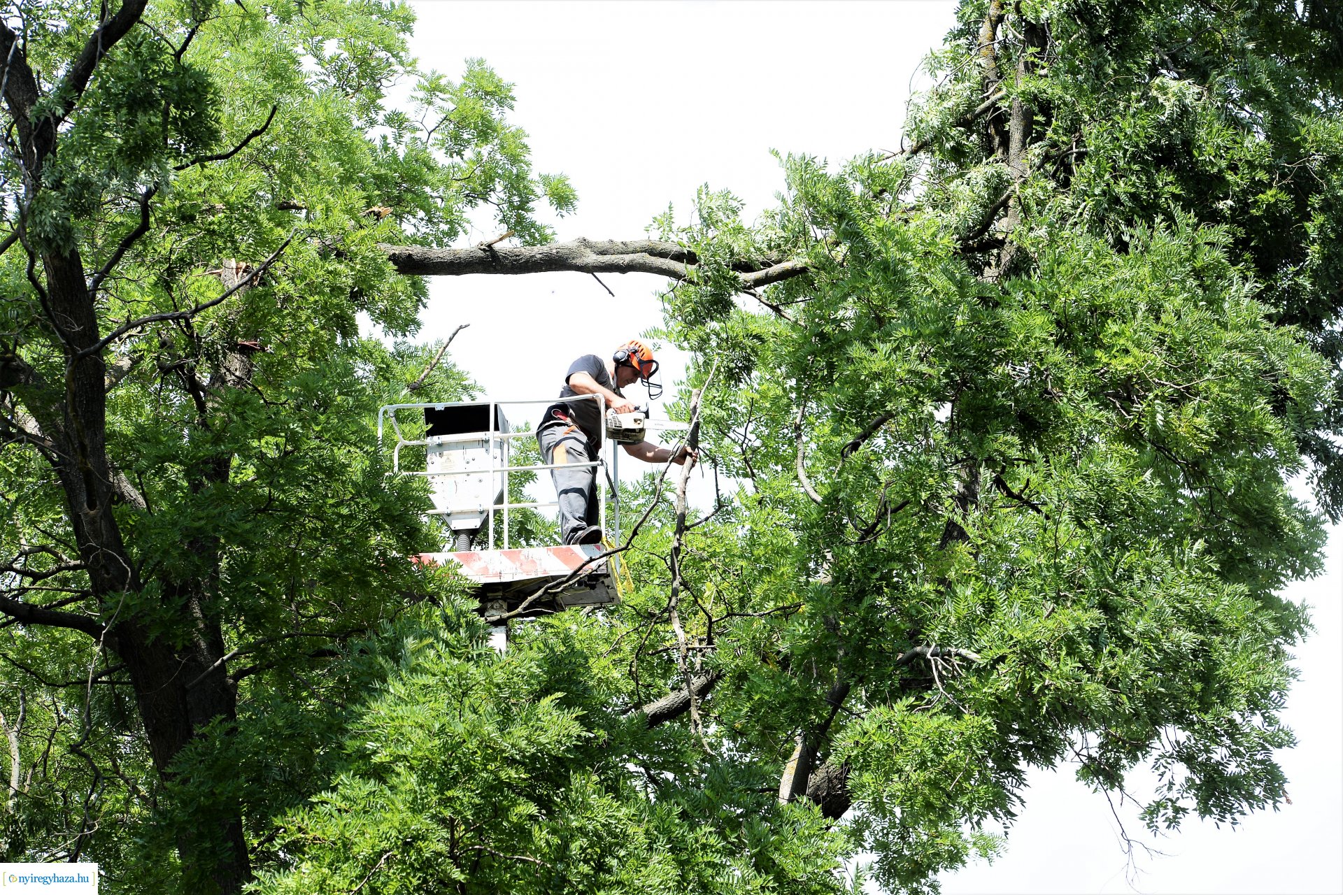   Viharkár eltakarítás a  Szent István utcán