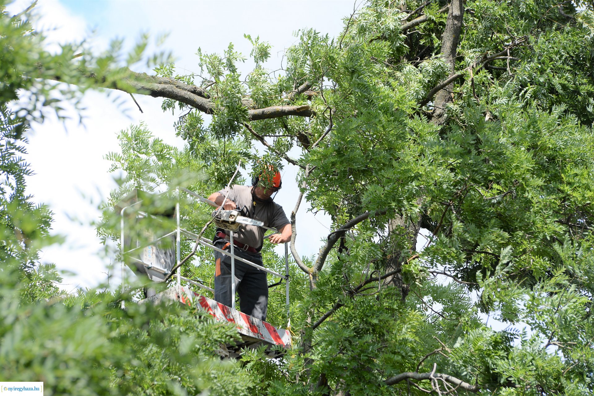   Viharkár eltakarítás a  Szent István utcán
