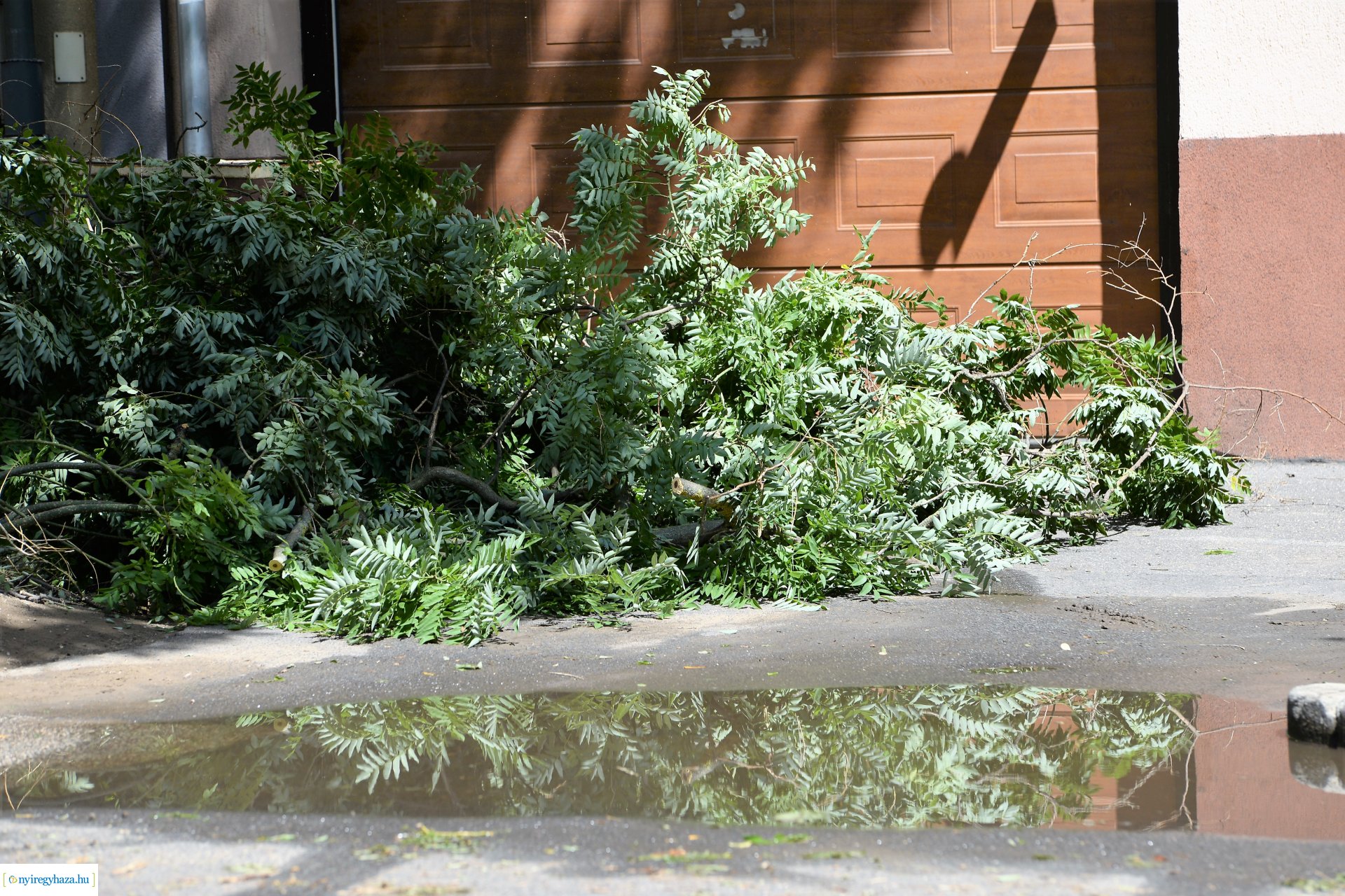   Viharkár eltakarítás a  Szent István utcán