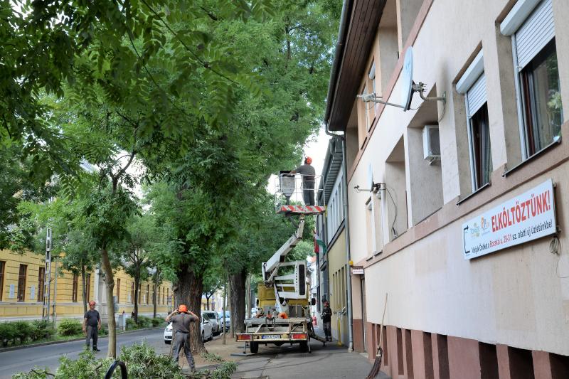   Viharkár eltakarítás a  Szent István utcán