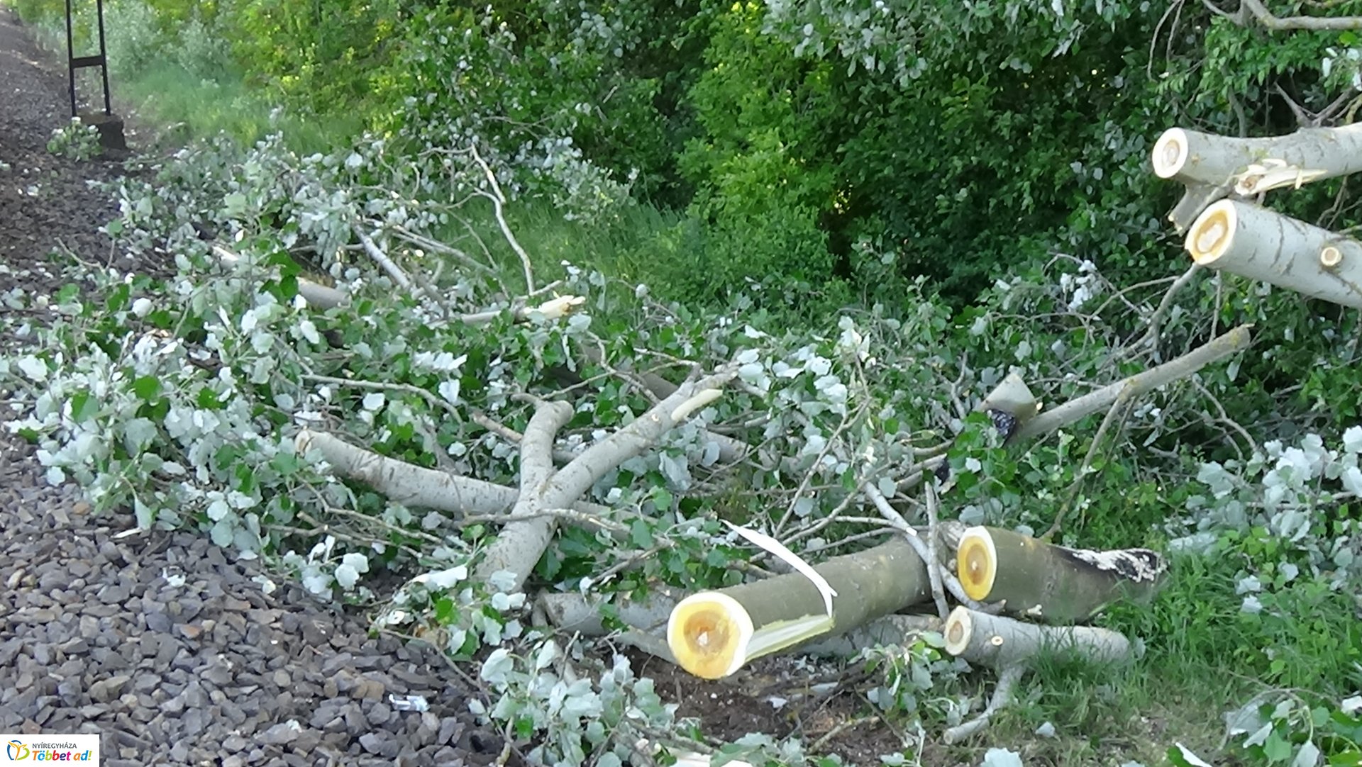 Viharkárok Nyíregyházán