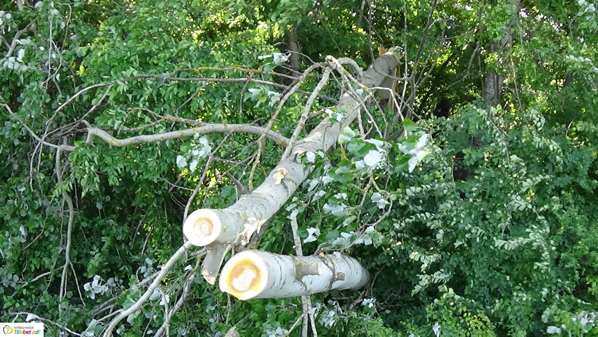 Viharkárok Nyíregyházán