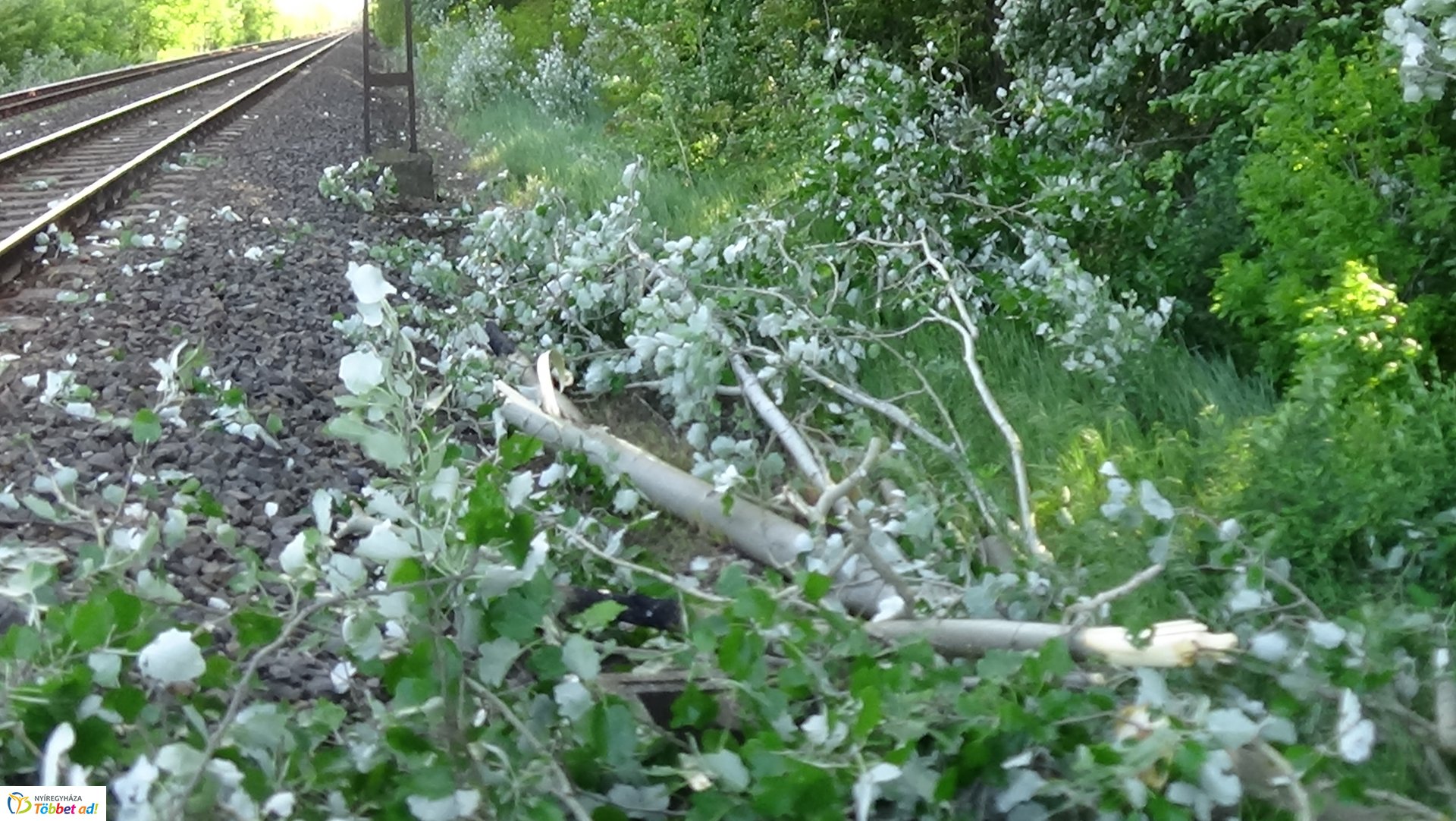 Viharkárok Nyíregyházán