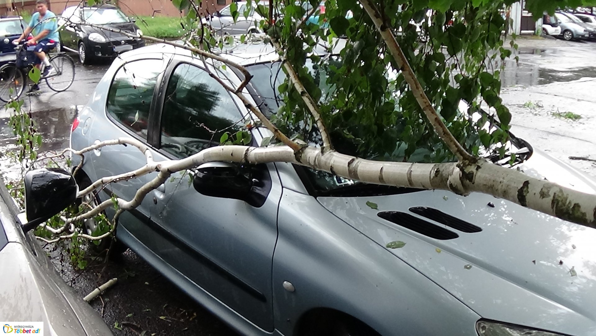 Viharkárok Nyíregyházán