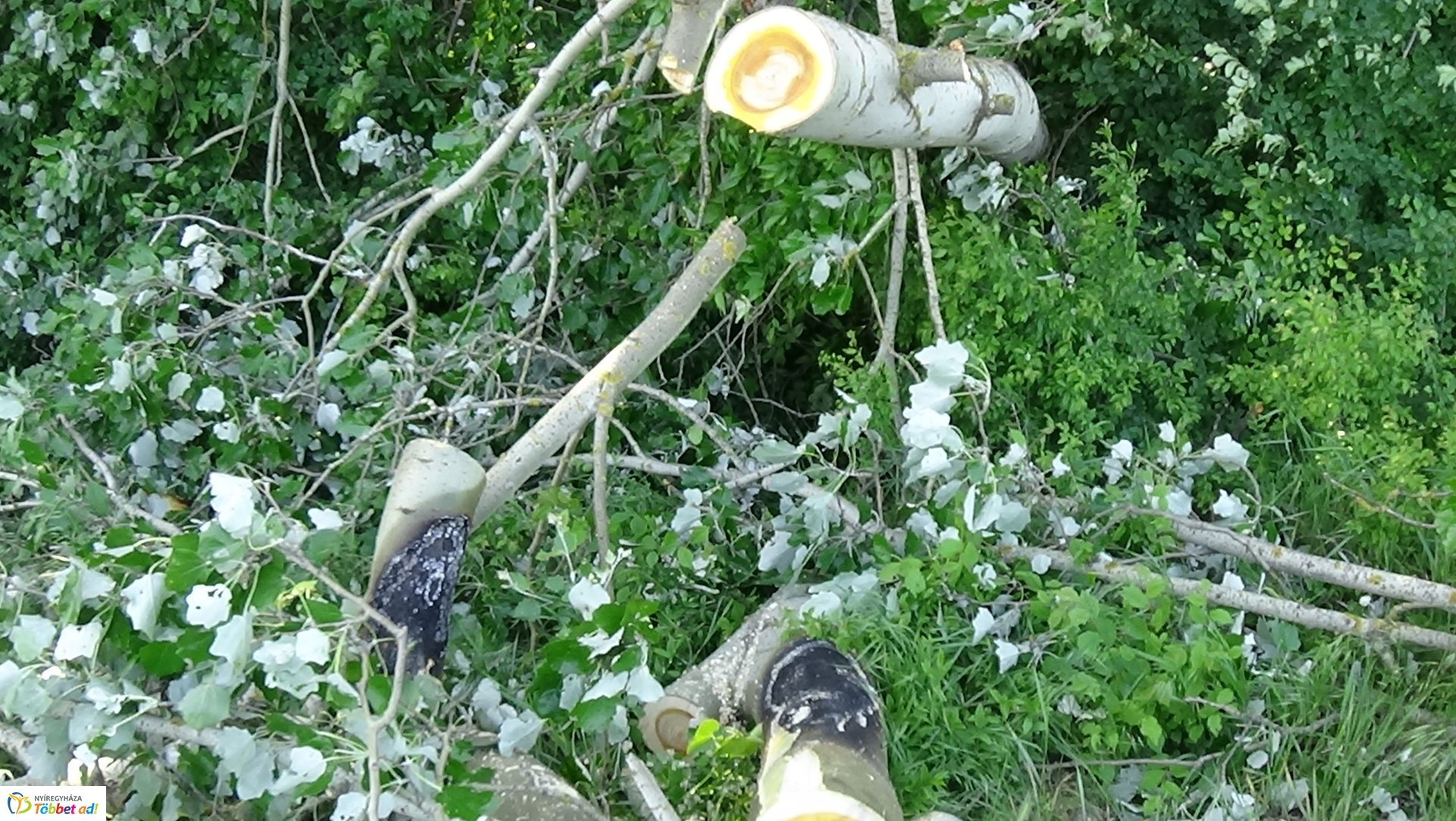 Viharkárok Nyíregyházán