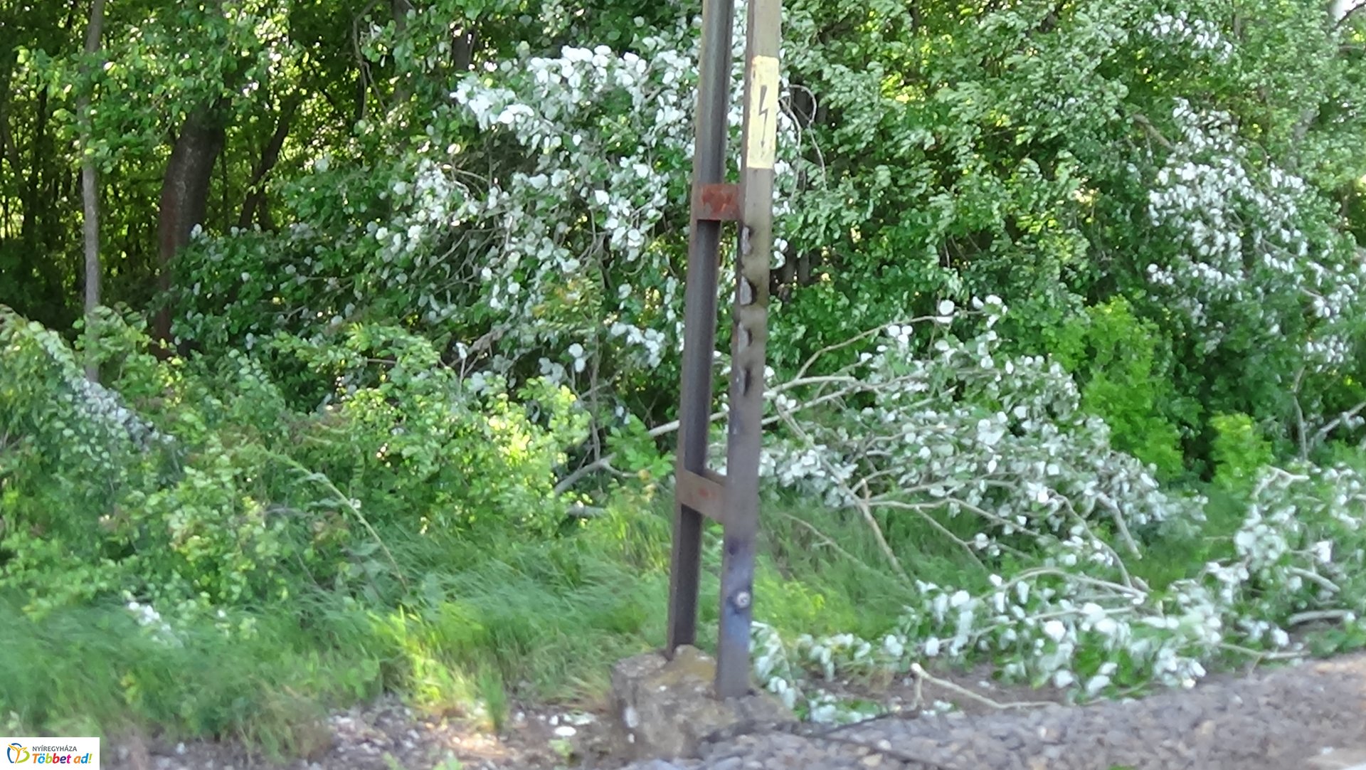 Viharkárok Nyíregyházán