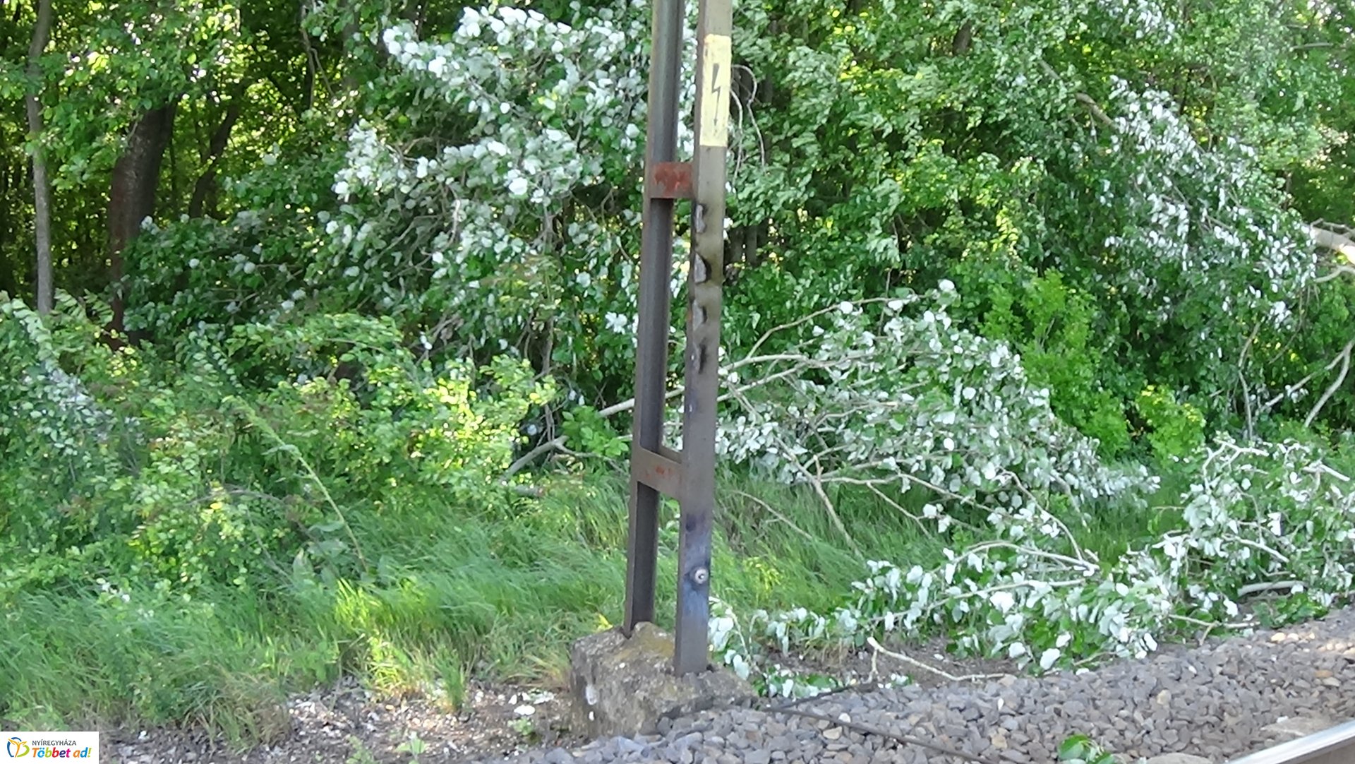 Viharkárok Nyíregyházán