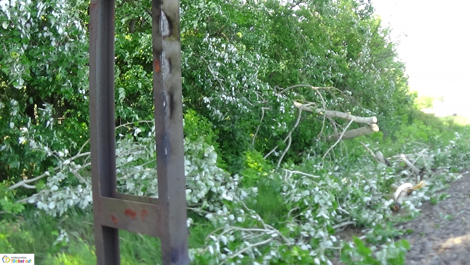 Viharkárok Nyíregyházán