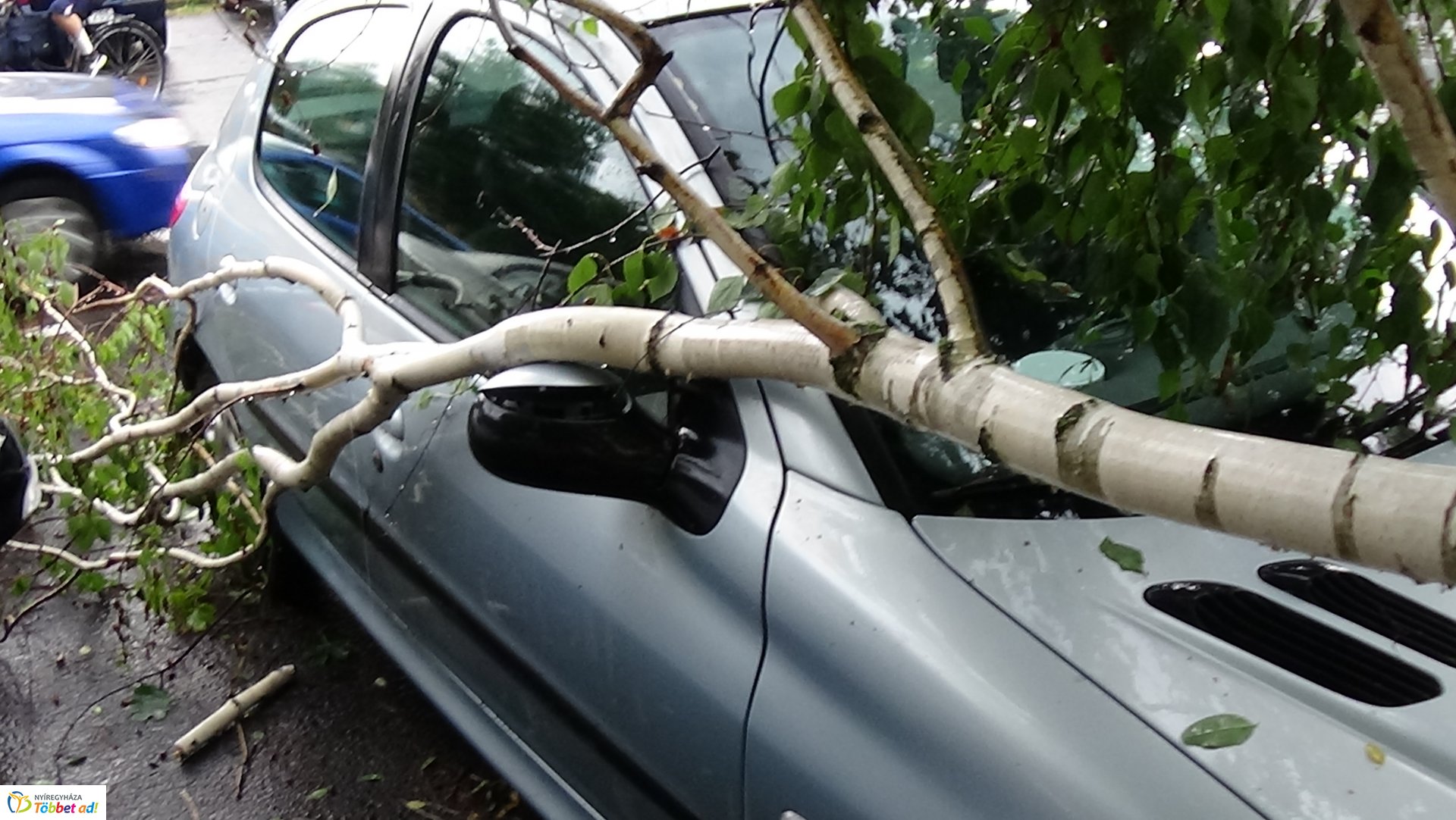 Viharkárok Nyíregyházán