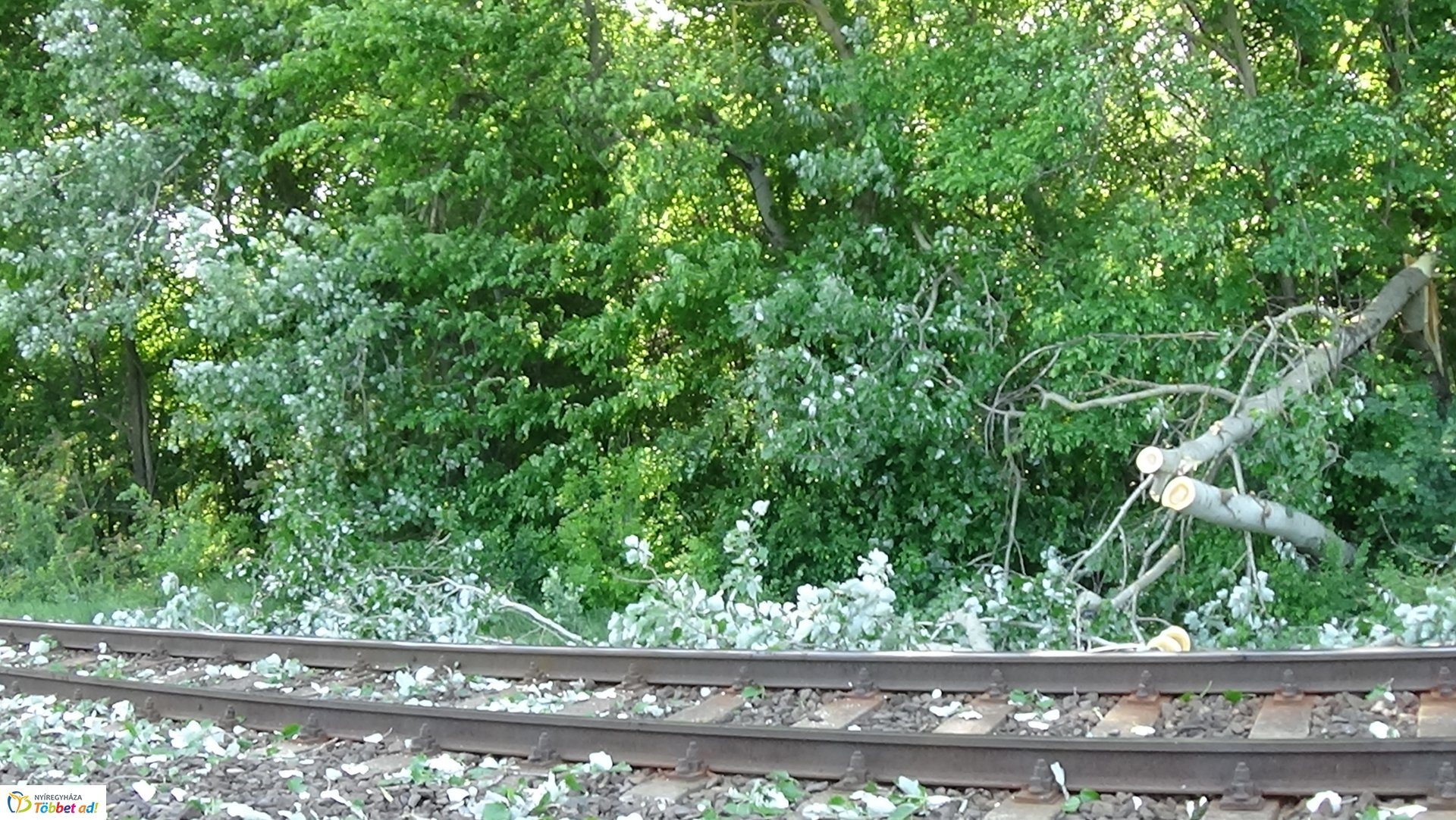 Viharkárok Nyíregyházán