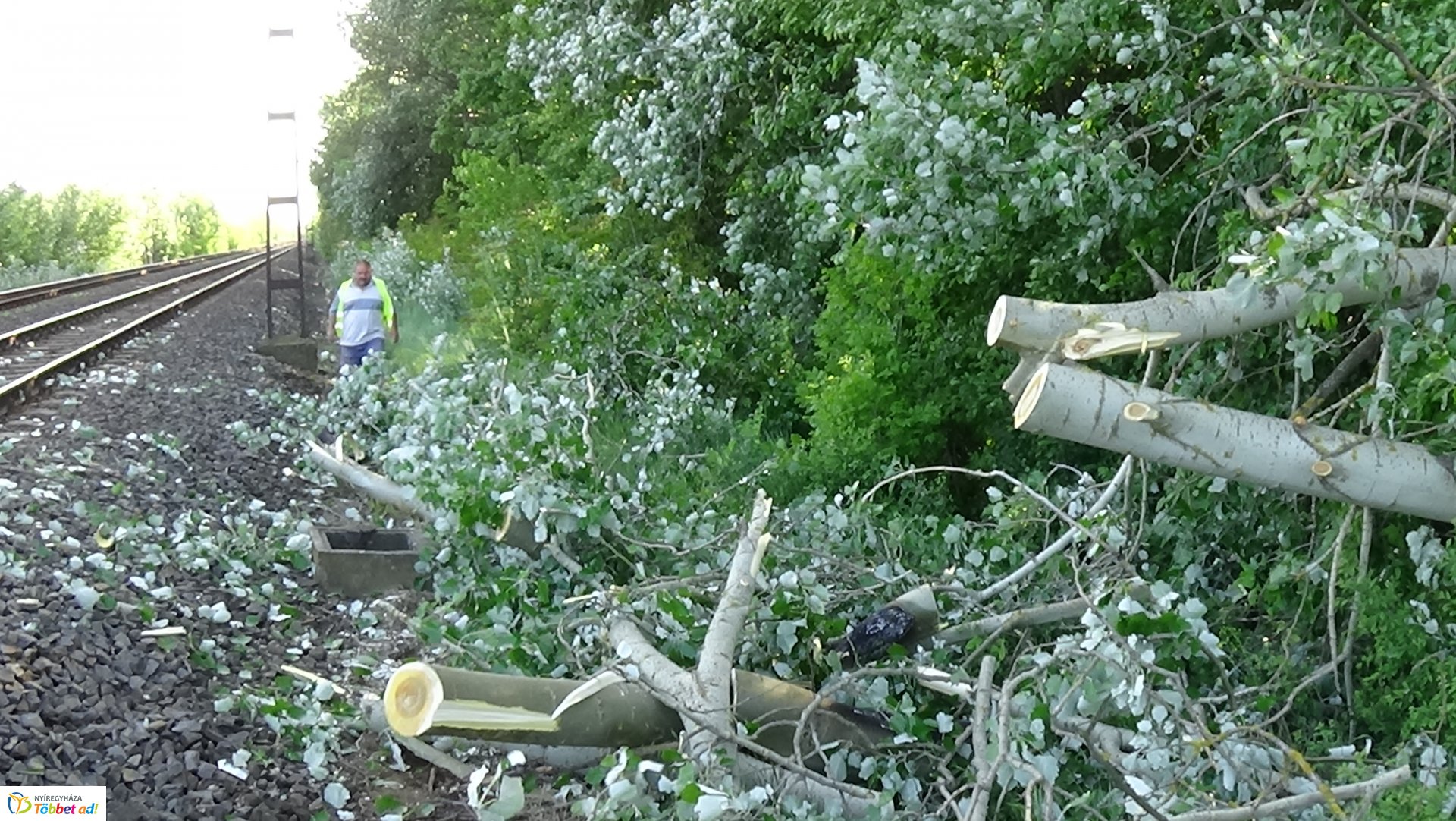 Viharkárok Nyíregyházán