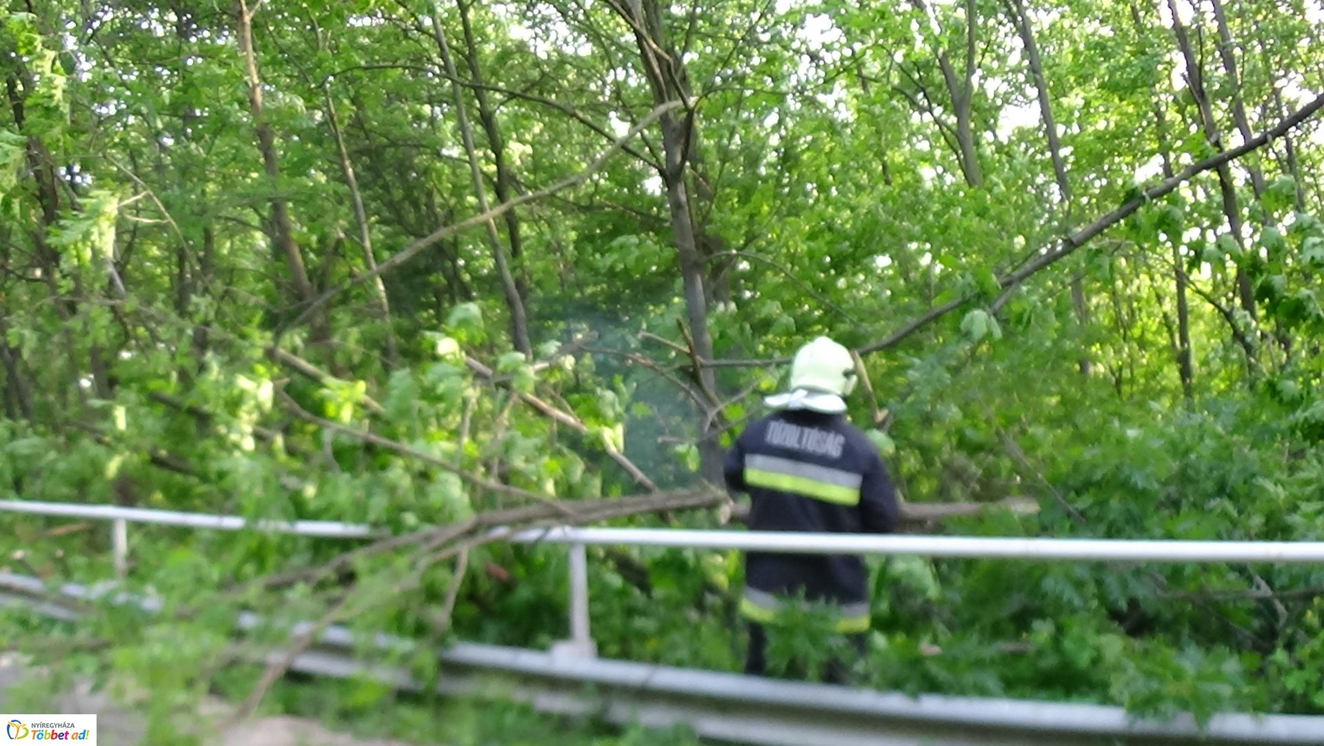 Viharkárok Nyíregyházán