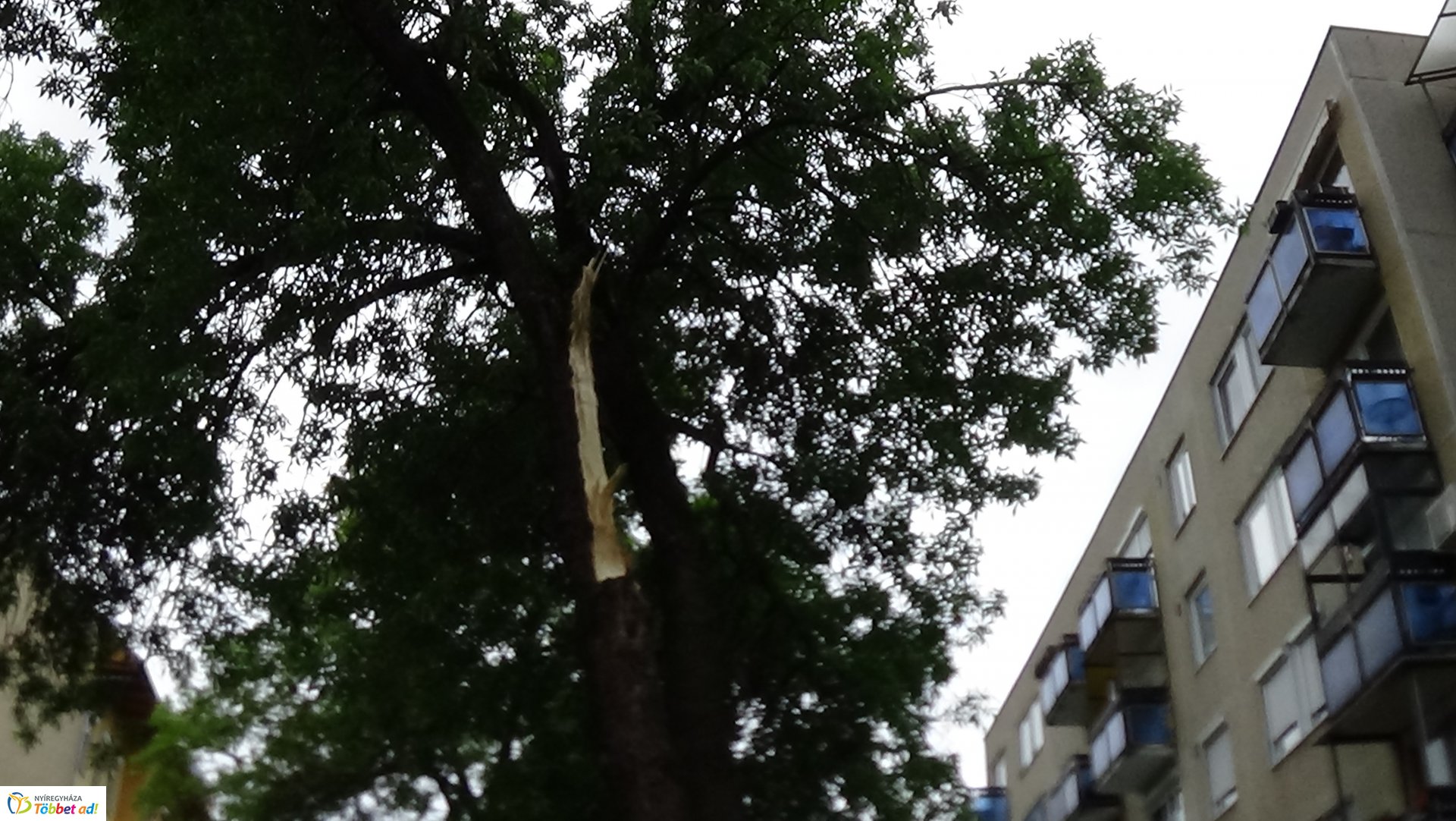 Viharkárok Nyíregyházán