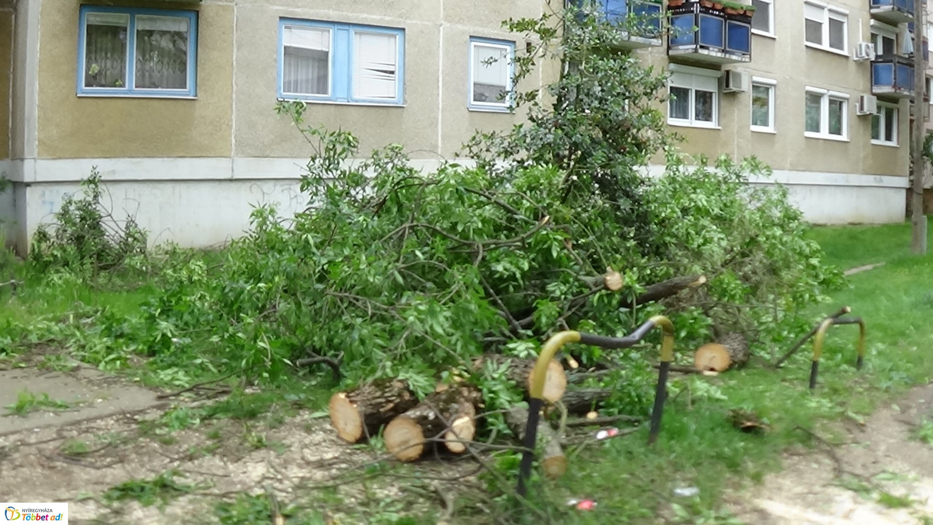 Viharkárok Nyíregyházán