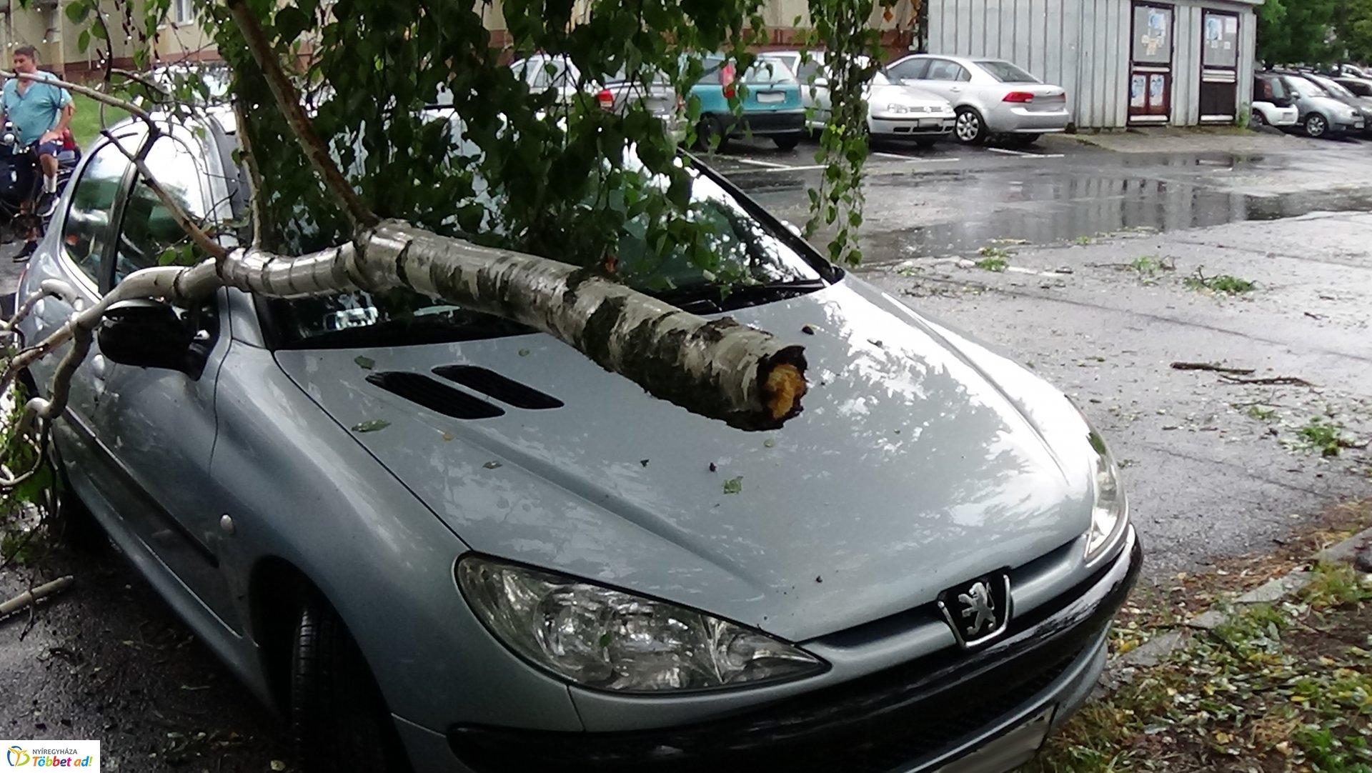 Viharkárok Nyíregyházán