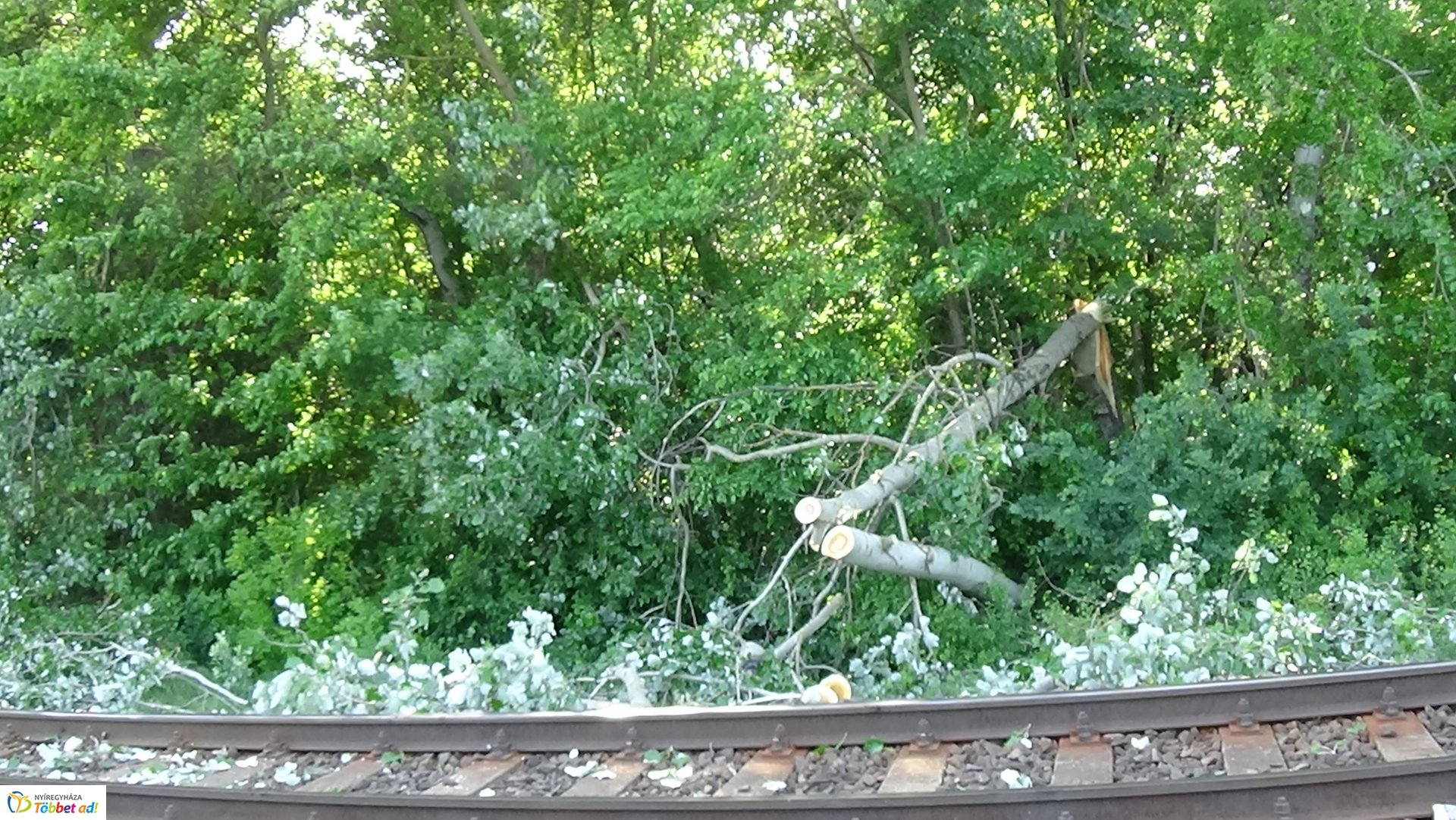 Viharkárok Nyíregyházán